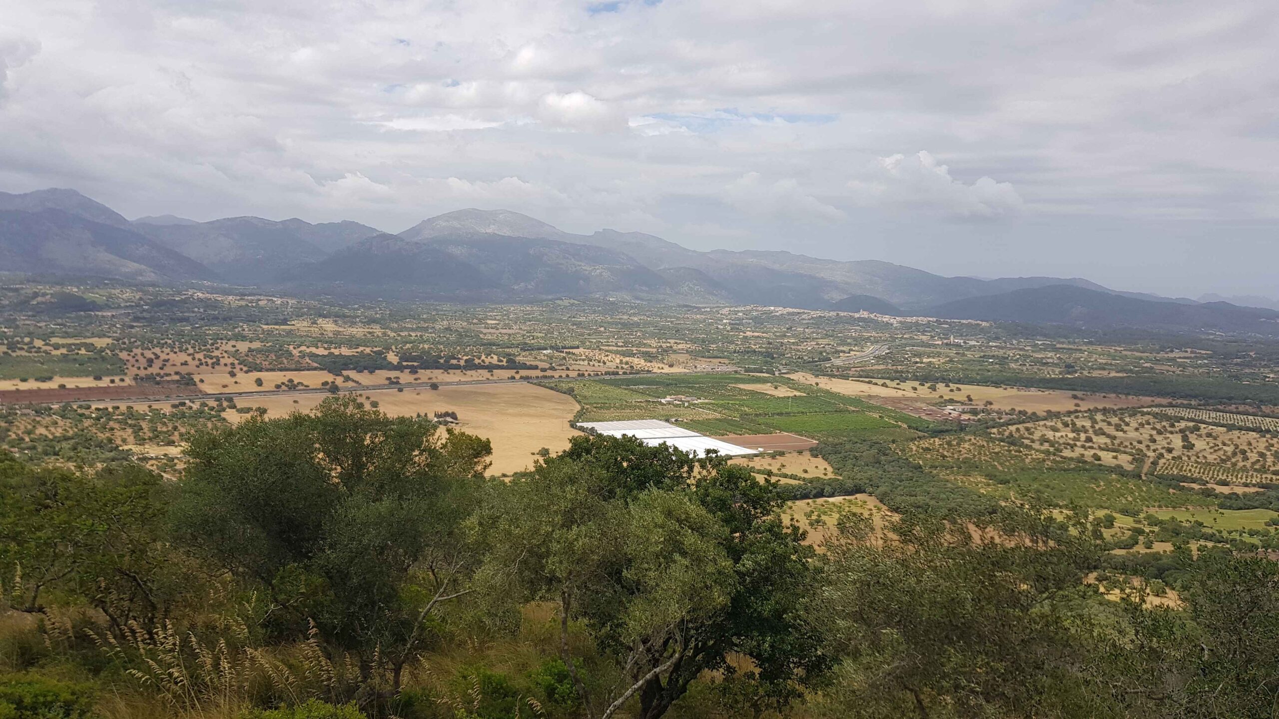 2022-Mallorca-Tag4 (37)