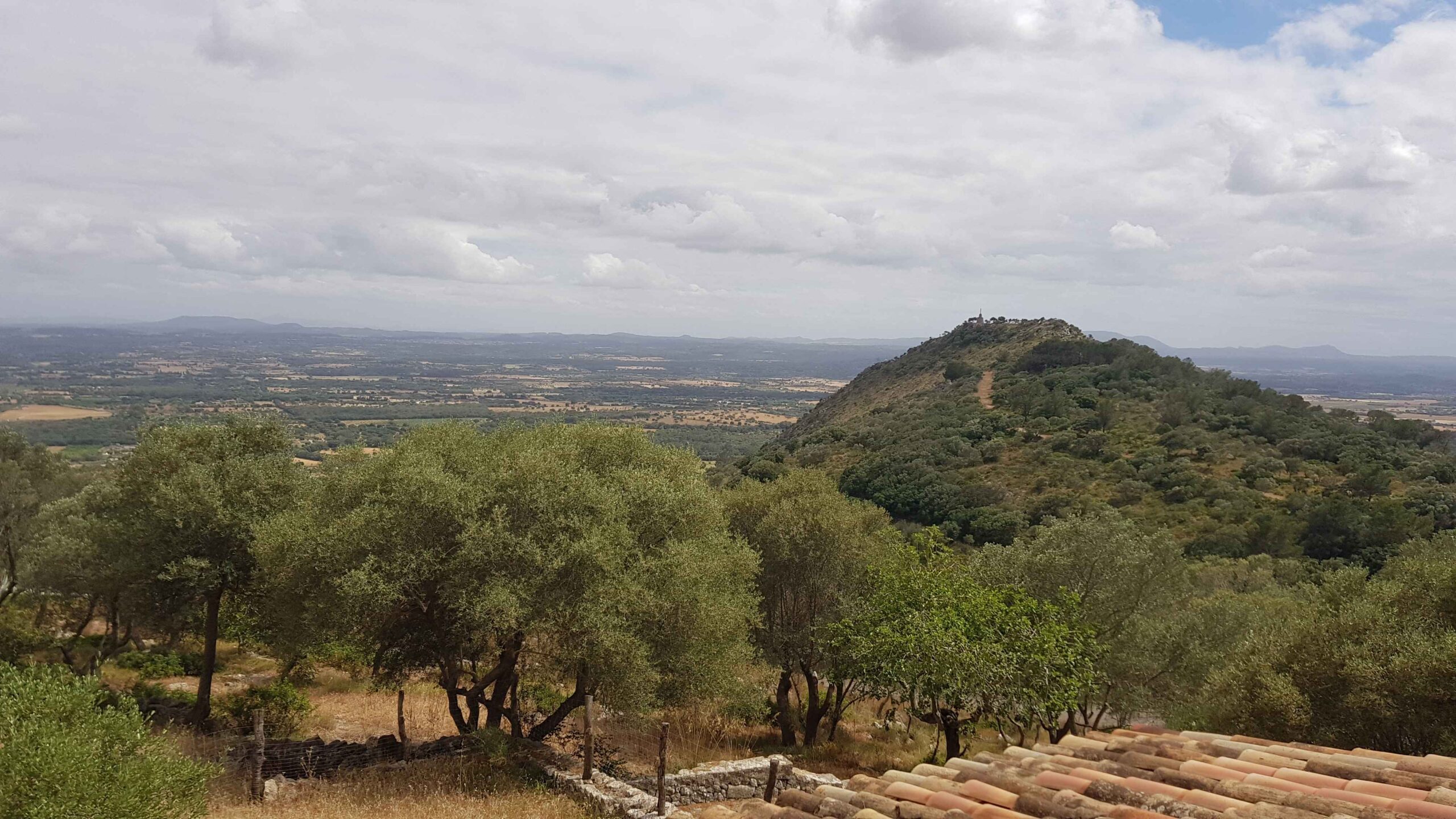 2022-Mallorca-Tag4 (38)