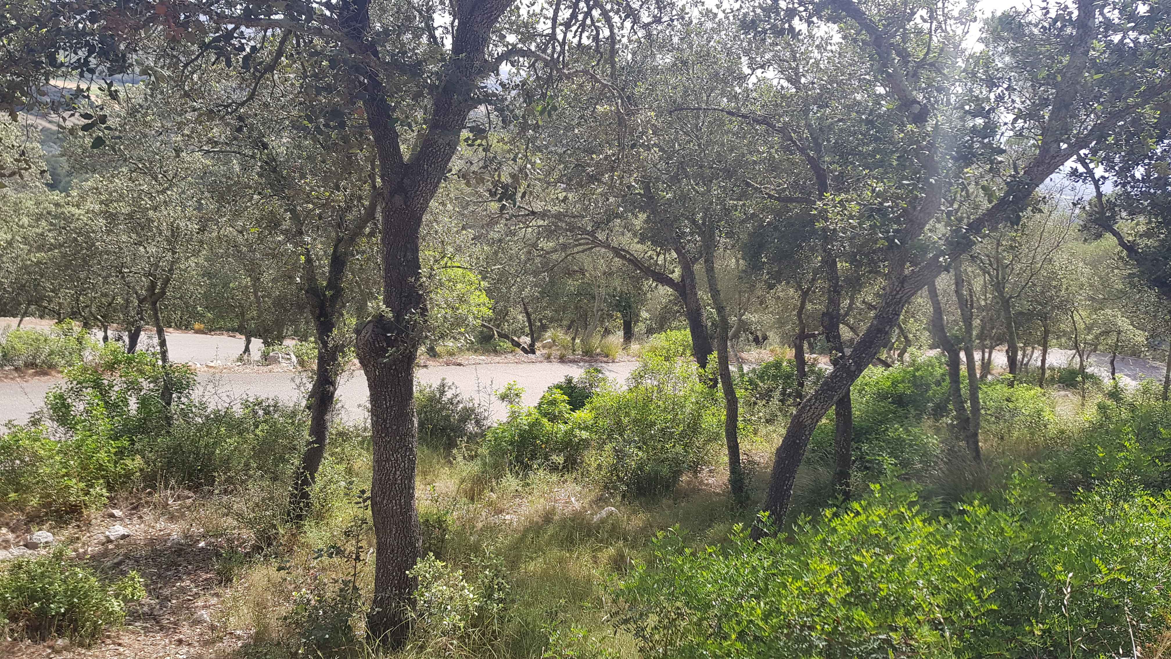 2022-Mallorca-Tag4 (40)