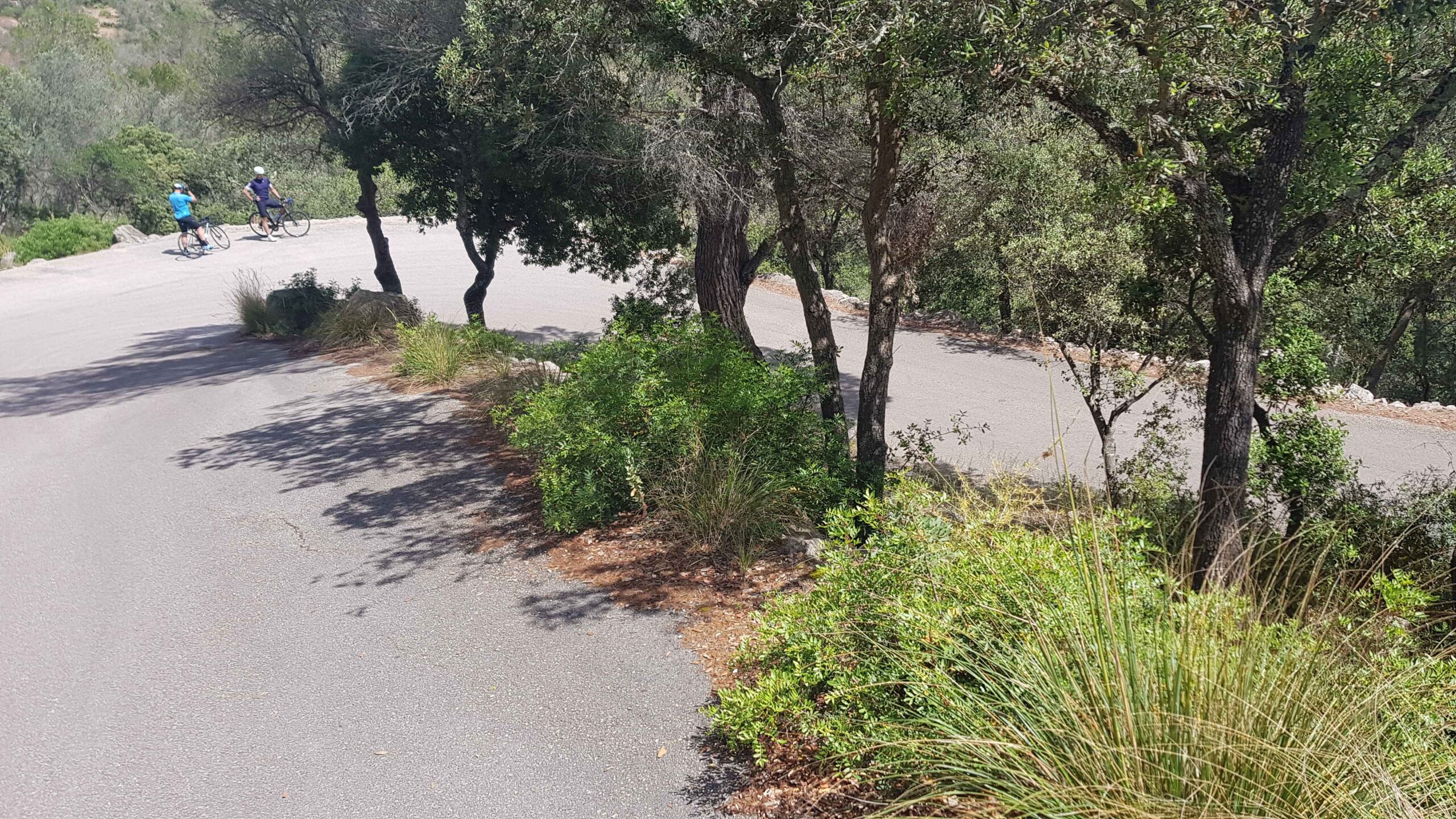 2022-Mallorca-Tag4 (41)