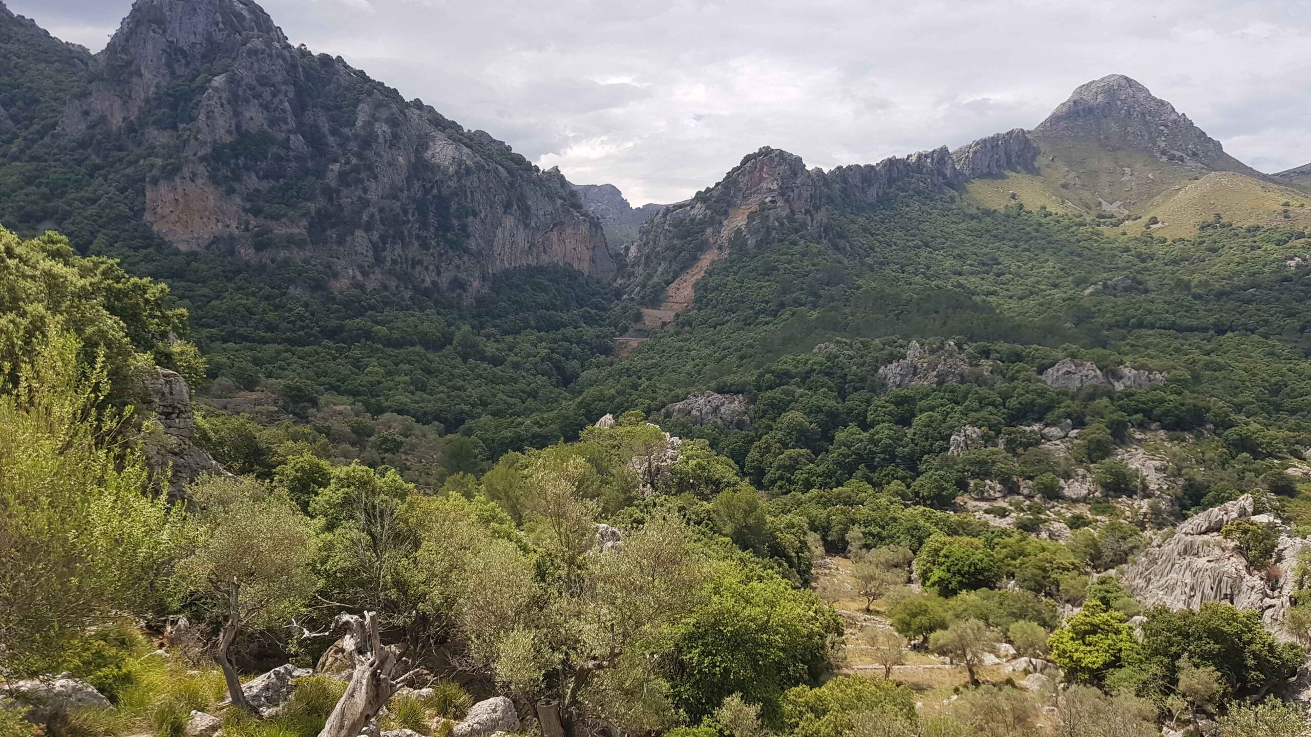 2022-Mallorca-Tag5 (12)