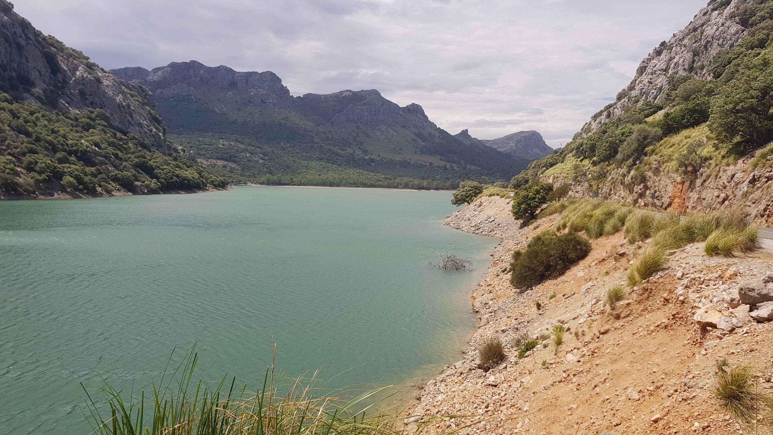 2022-Mallorca-Tag5 (13)