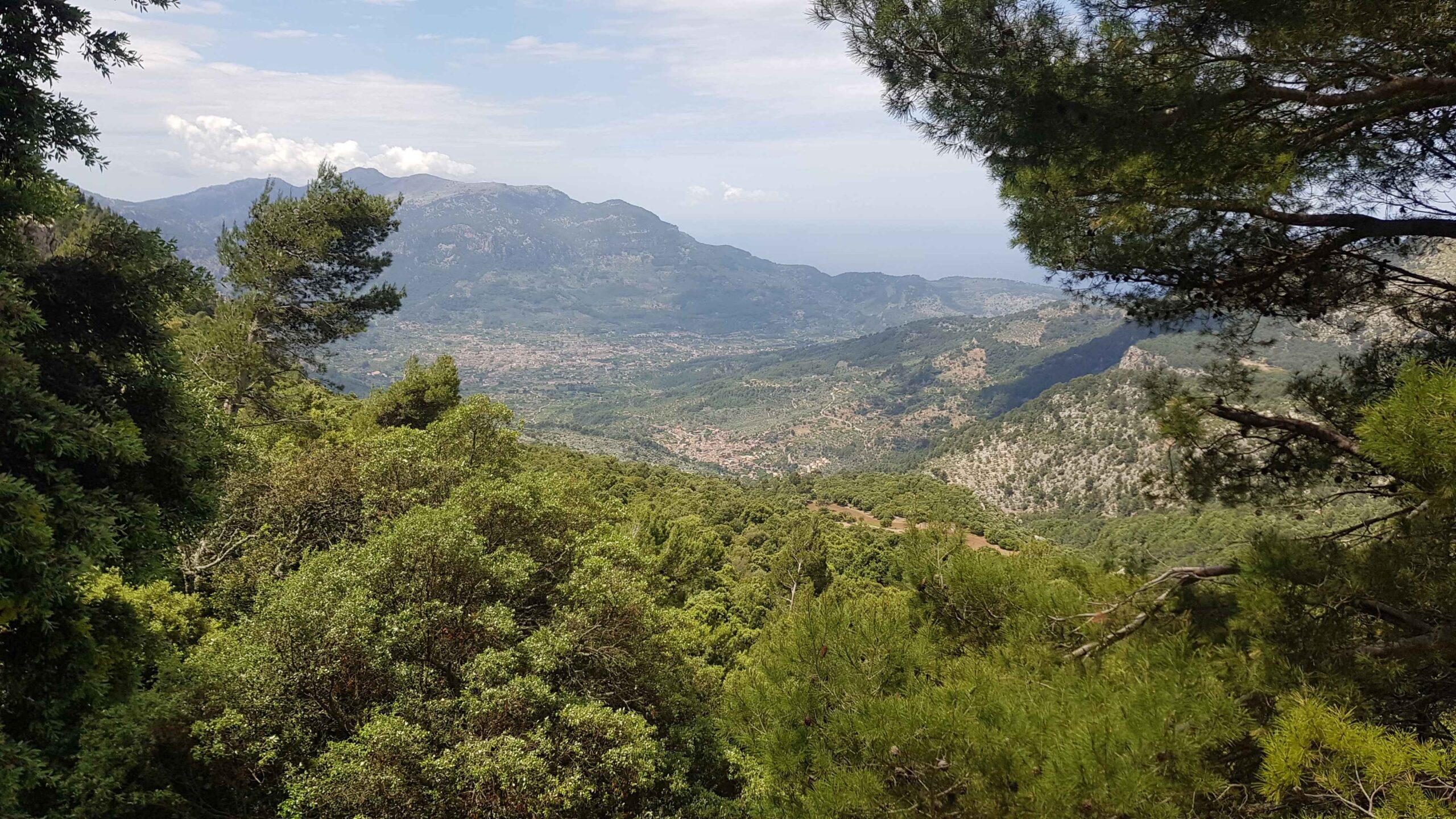 2022-Mallorca-Tag5 (16)