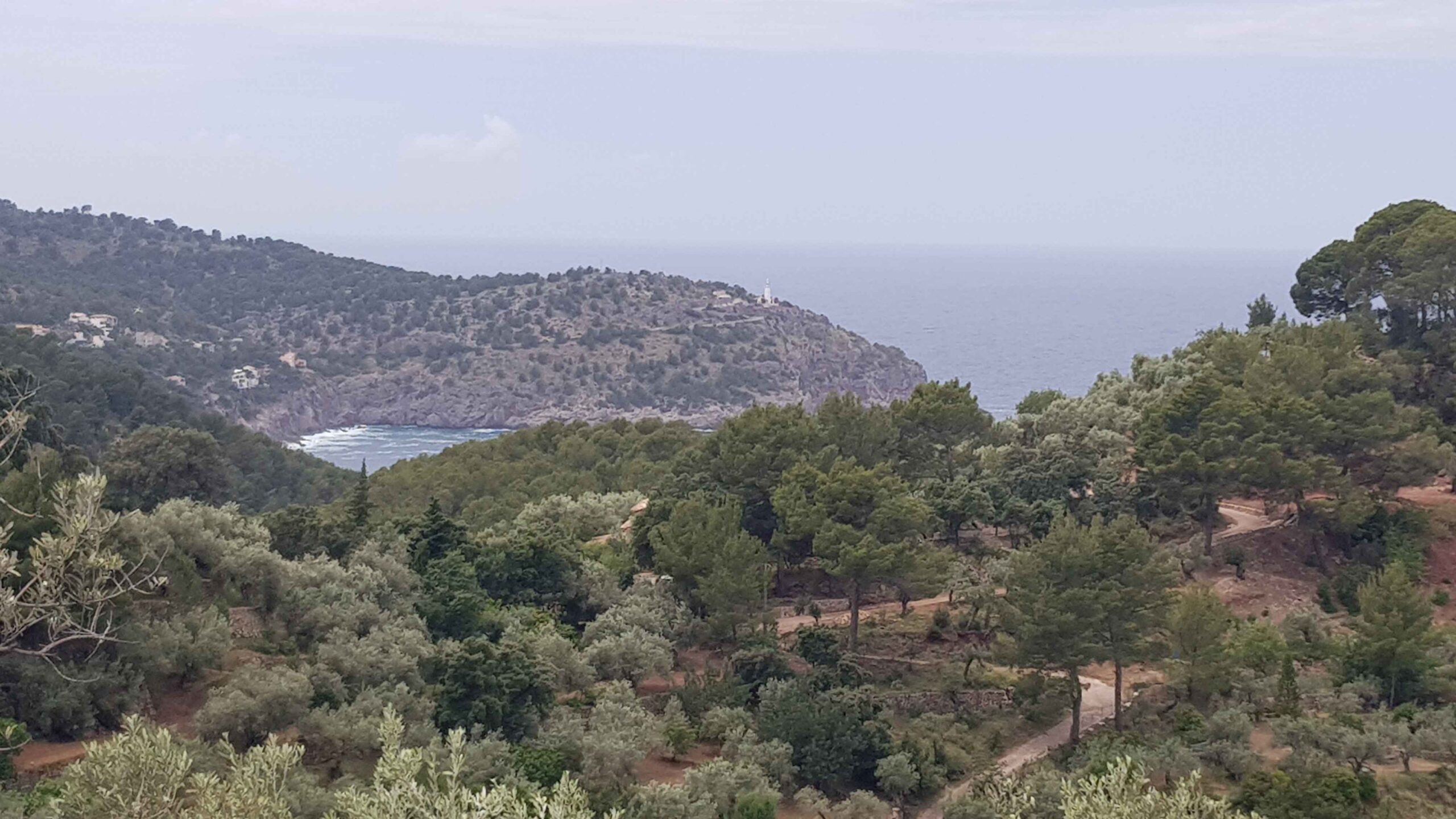 2022-Mallorca-Tag5 (19)