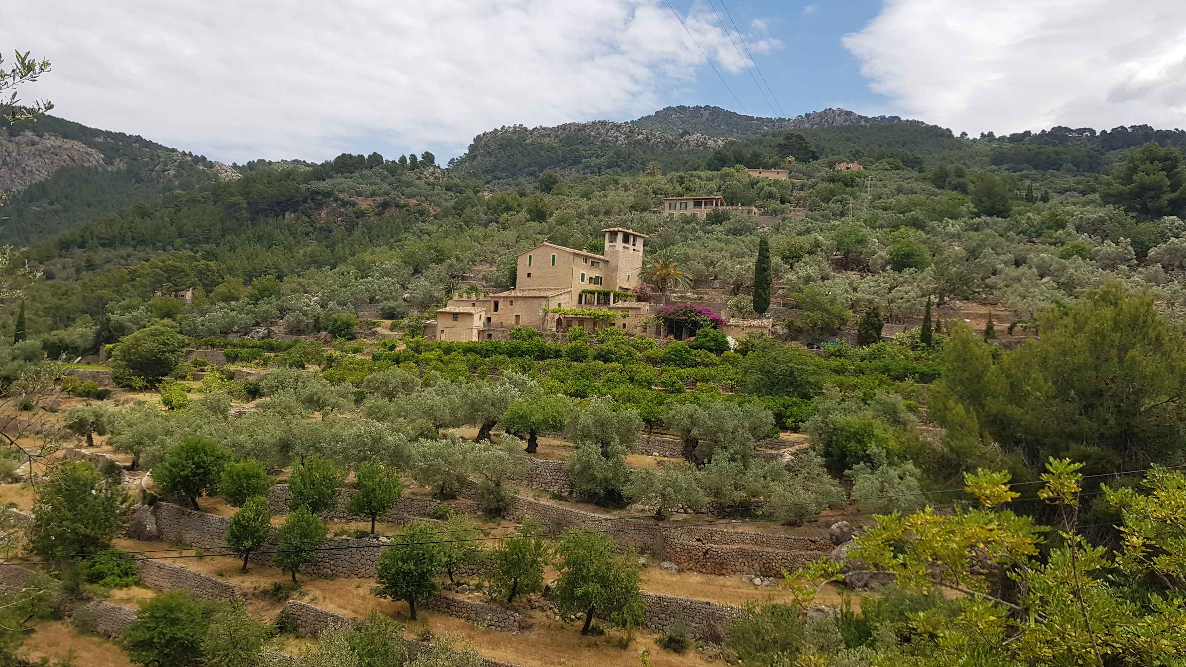 2022-Mallorca-Tag5 (20)