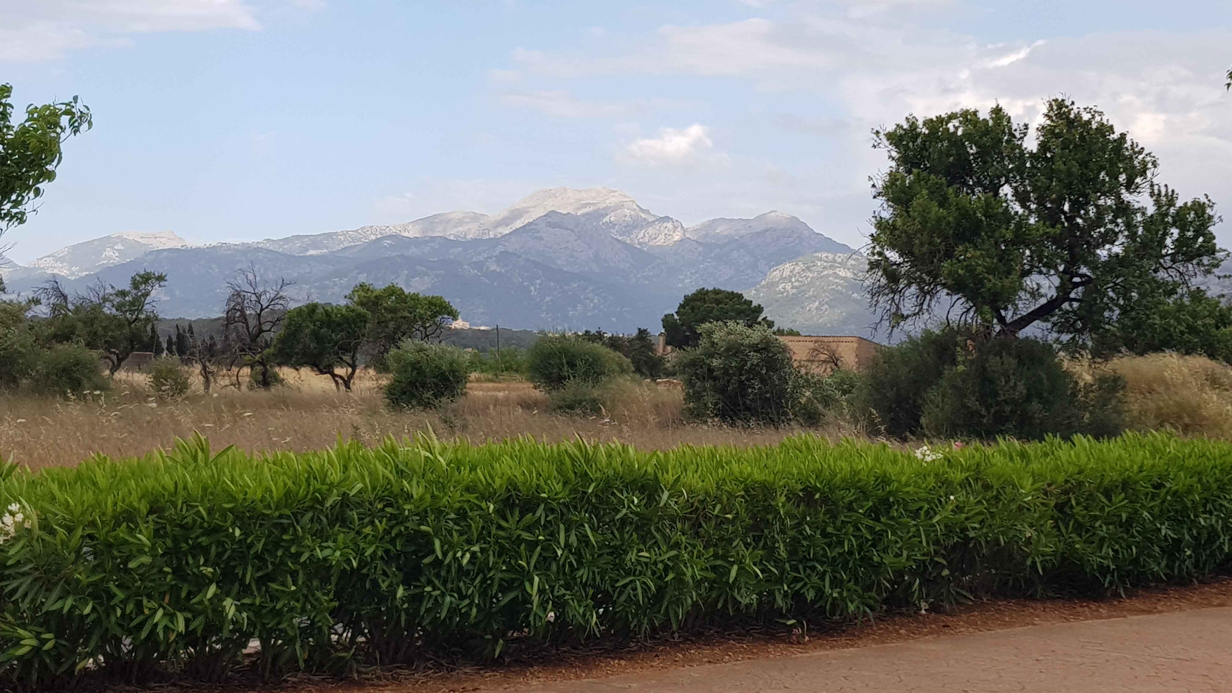 2022-Mallorca-Tag5 (3)