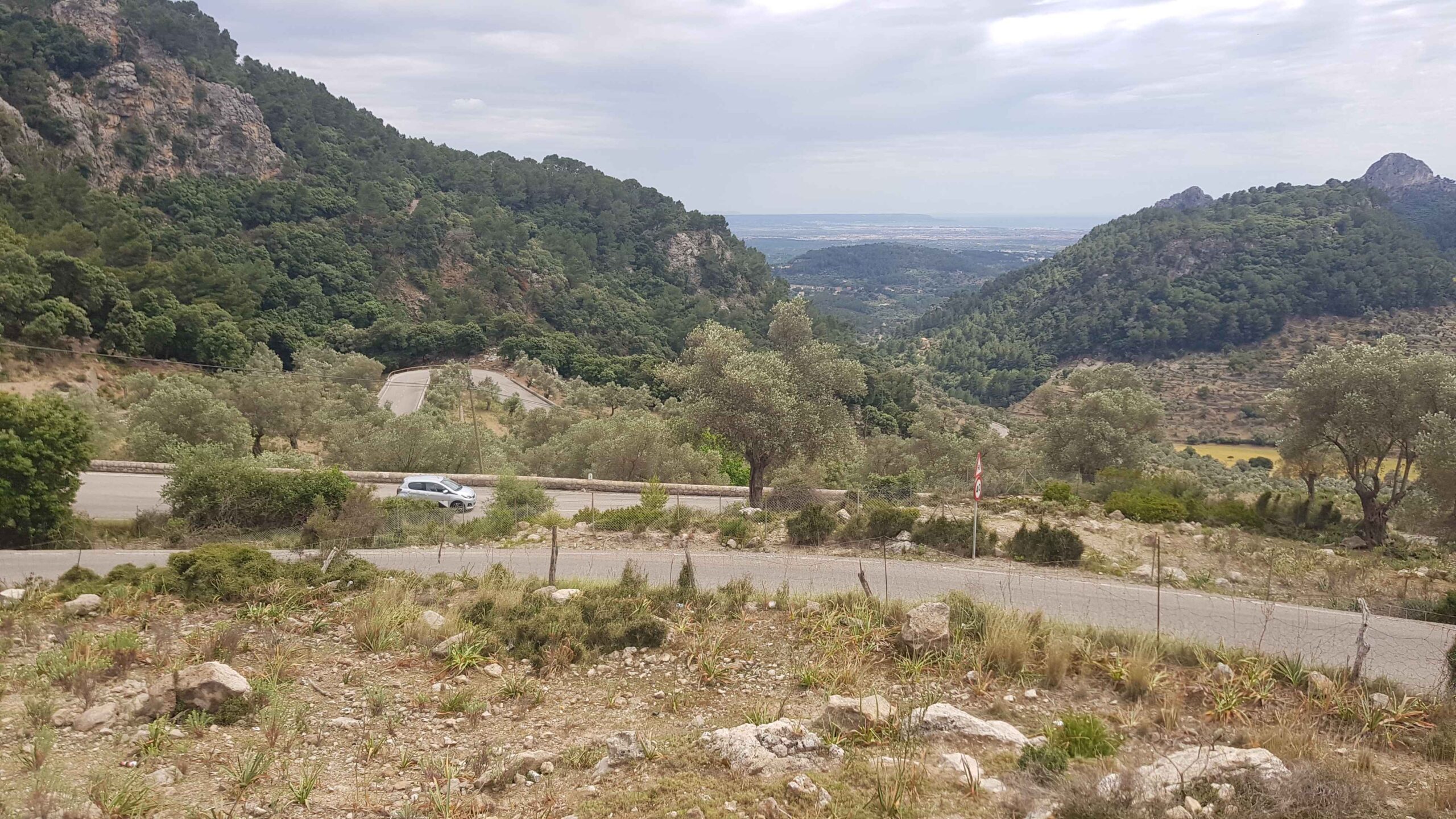 2022-Mallorca-Tag5 (30)