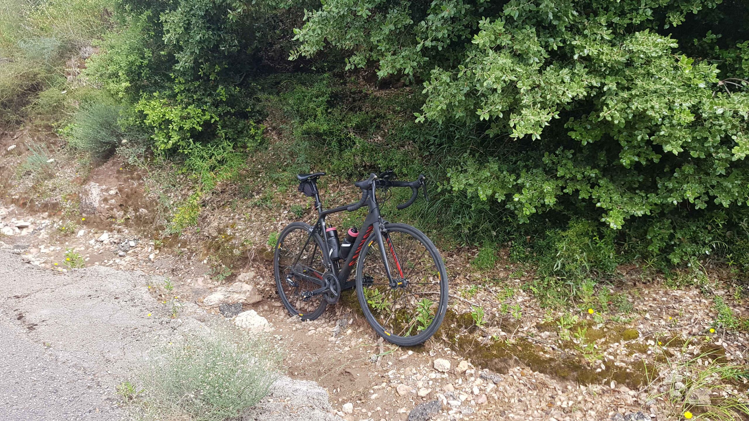 2022-Mallorca-Tag5 (34)