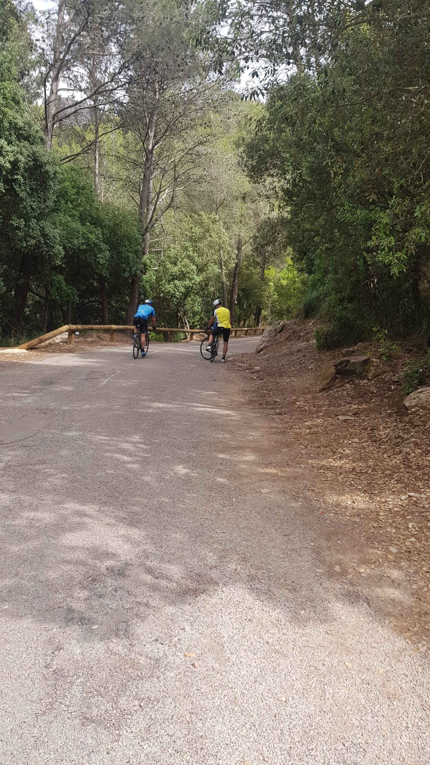 2022-Mallorca-Tag5 (35)