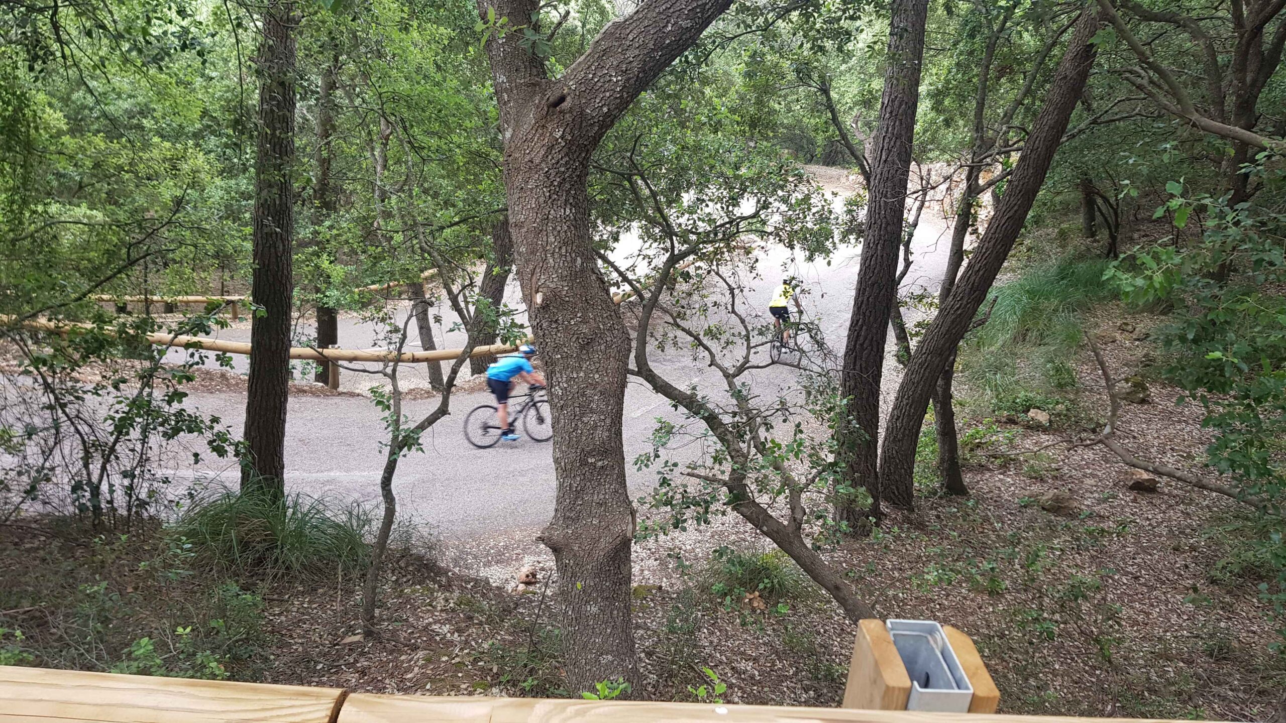 2022-Mallorca-Tag5 (37)