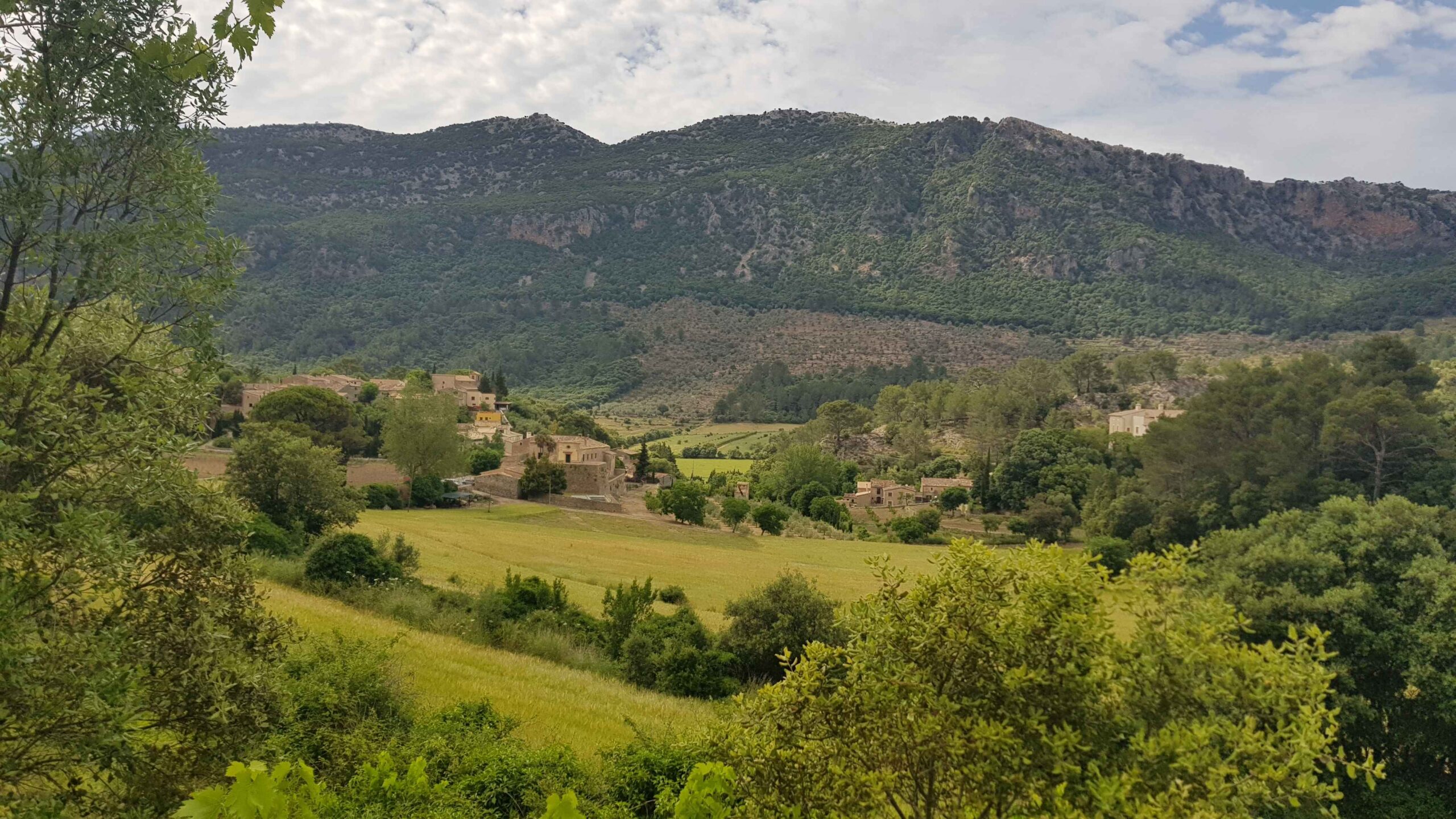 2022-Mallorca-Tag5 (38)