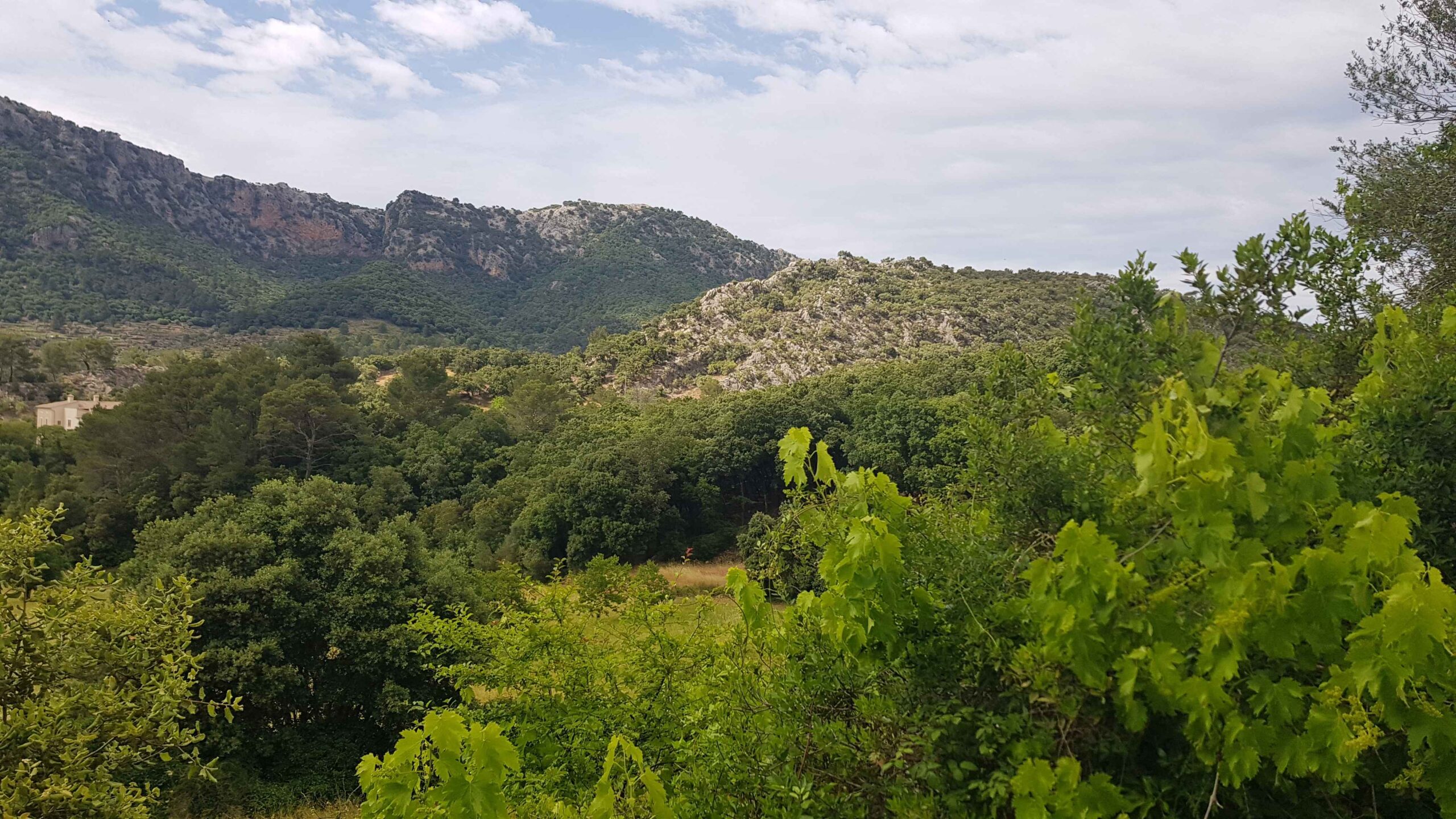 2022-Mallorca-Tag5 (39)