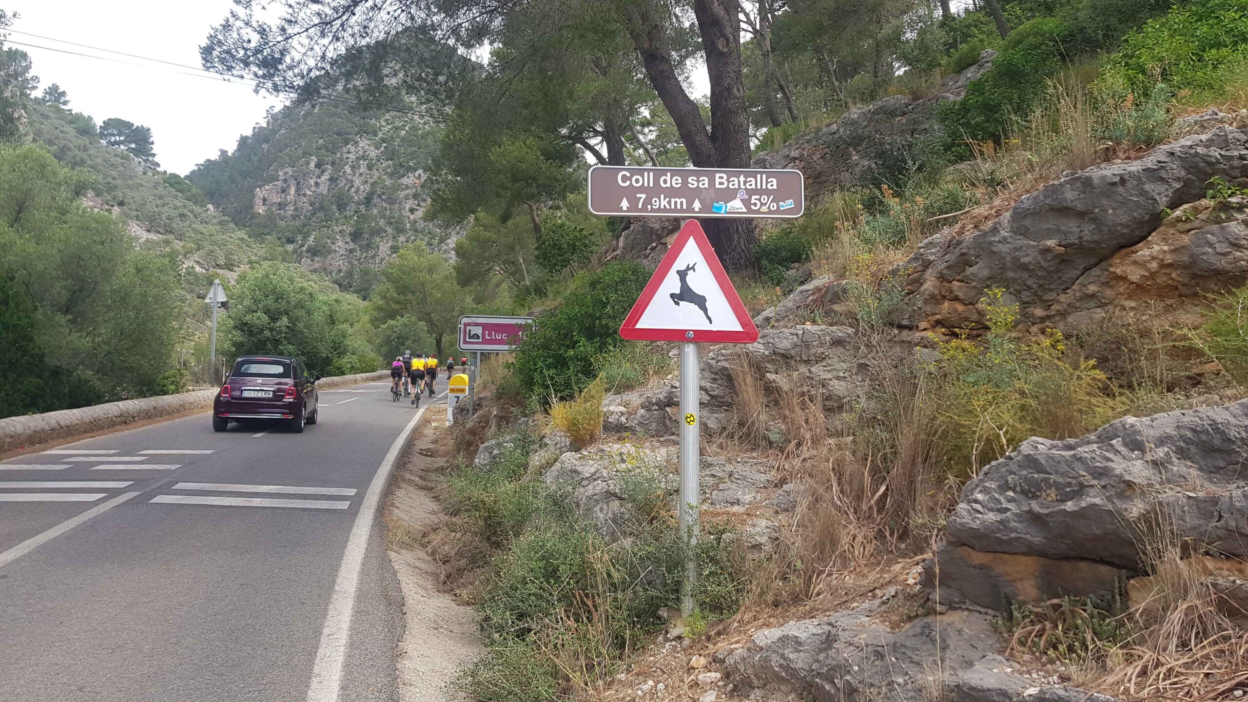 2022-Mallorca-Tag5 (7)