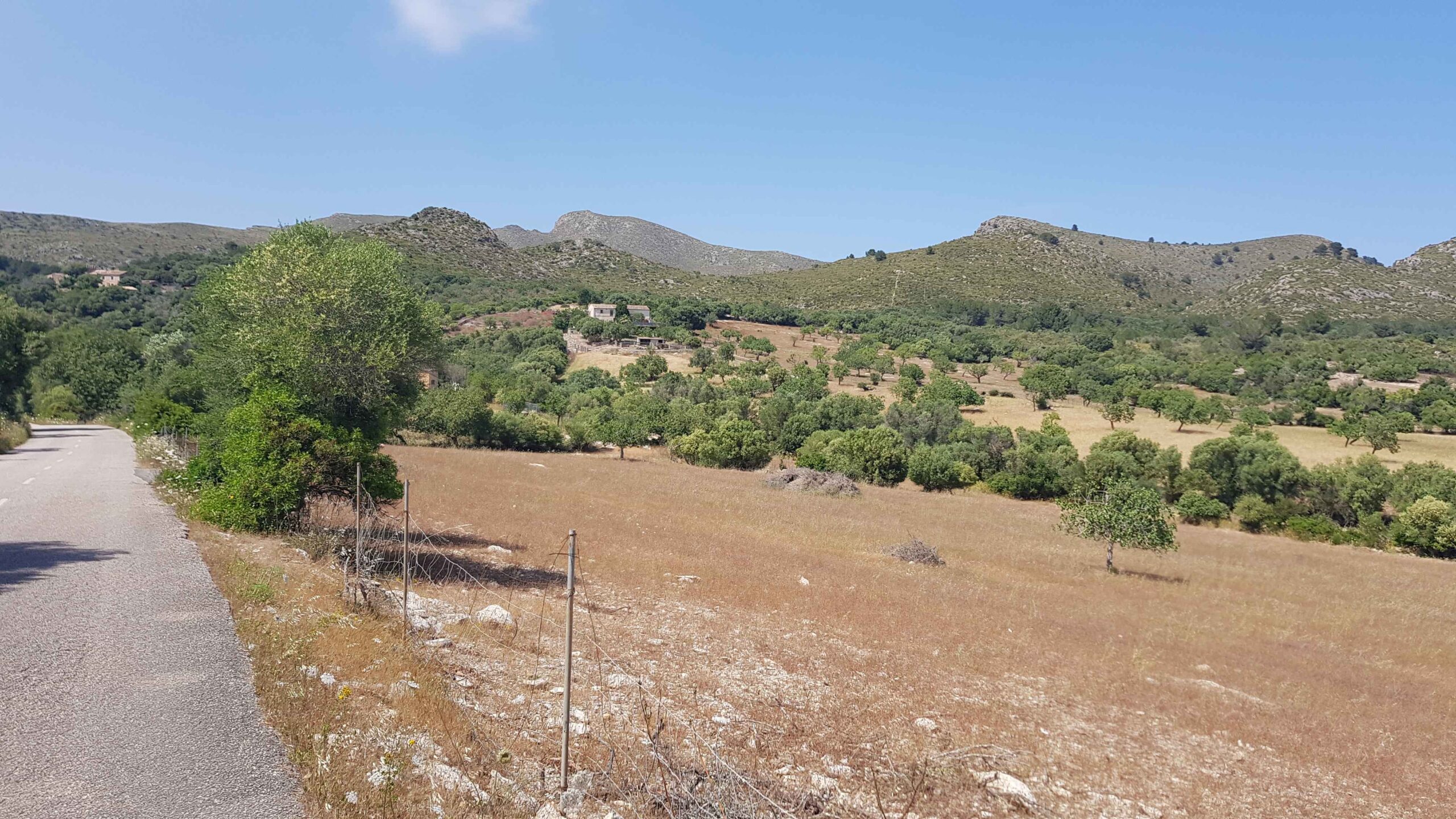 2022-Mallorca-Tag6 (10)