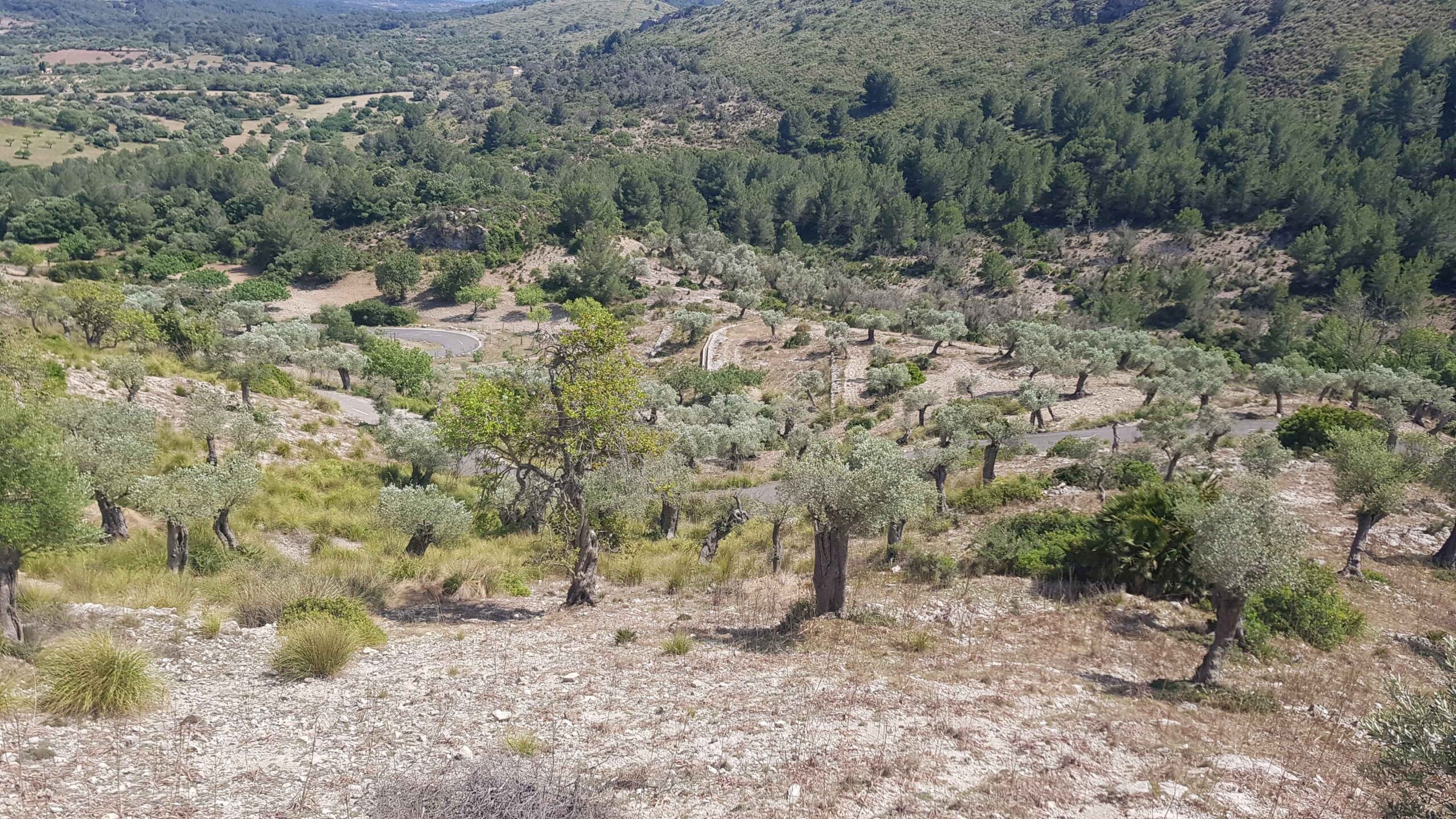 2022-Mallorca-Tag6 (13)