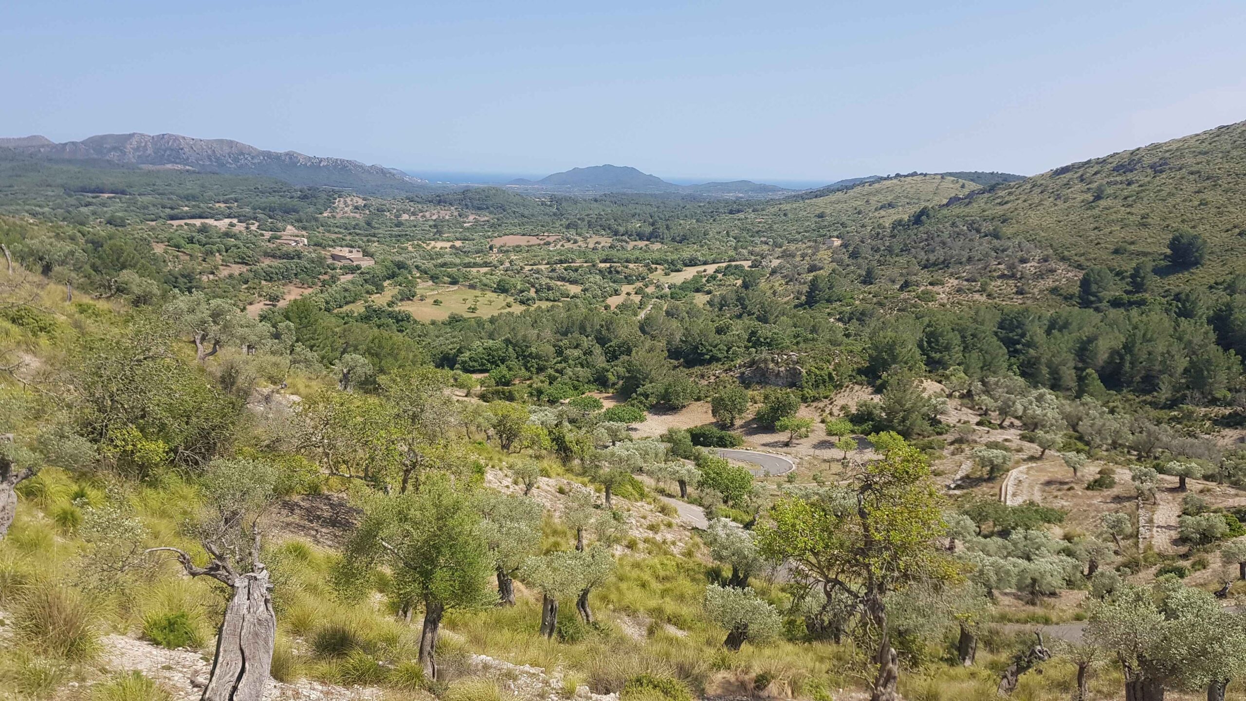 2022-Mallorca-Tag6 (14)