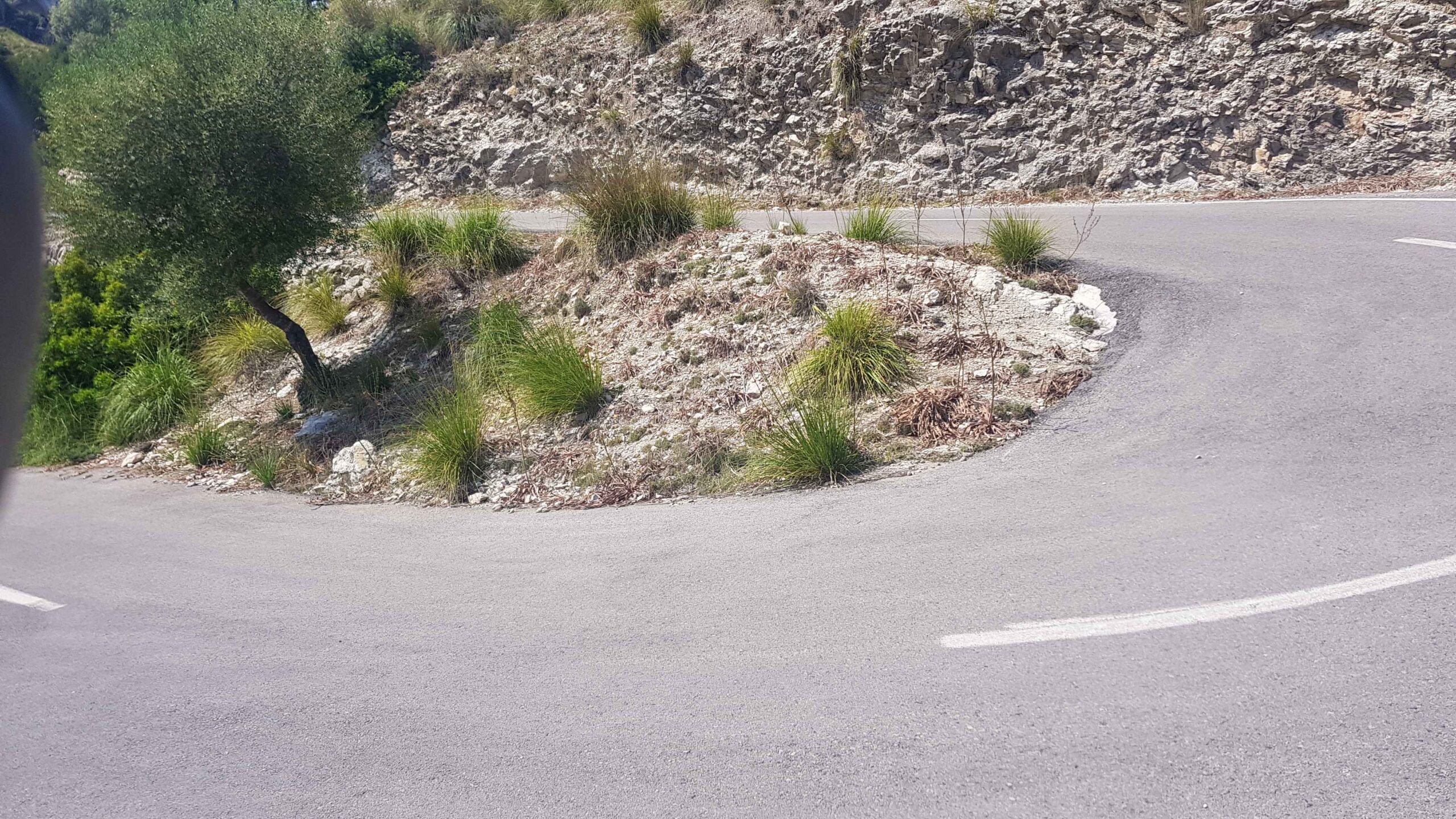 2022-Mallorca-Tag6 (15)