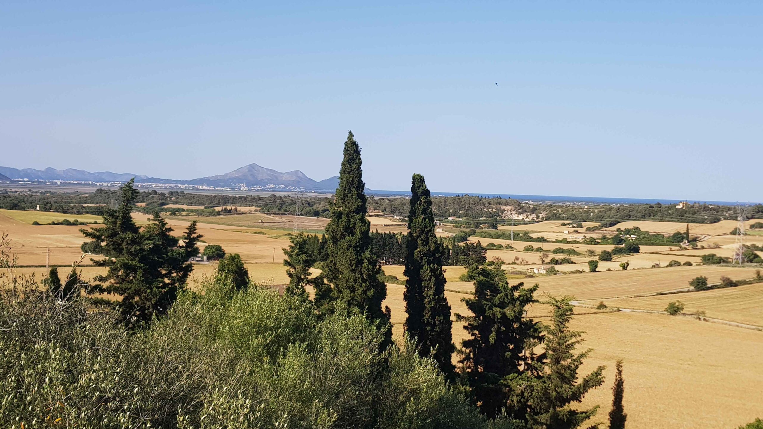 2022-Mallorca-Tag6 (27)