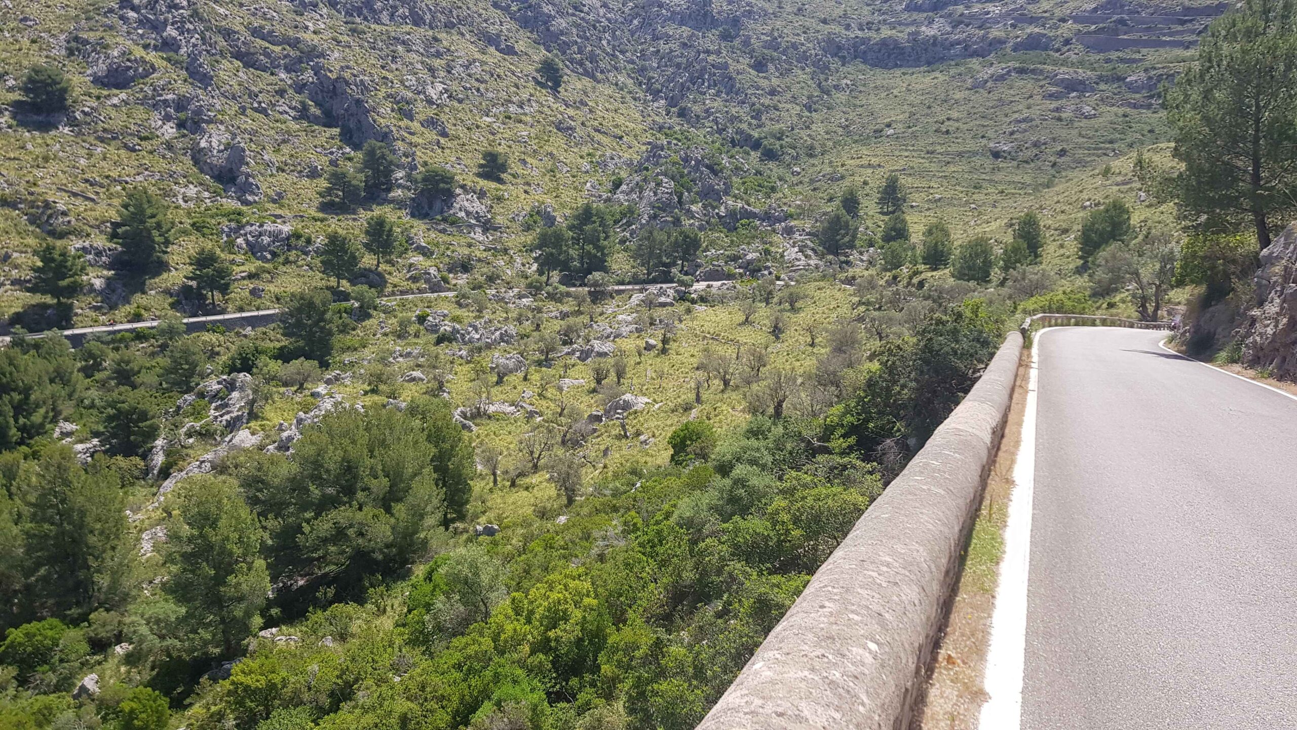 2022-Mallorca-Tag7 (15)