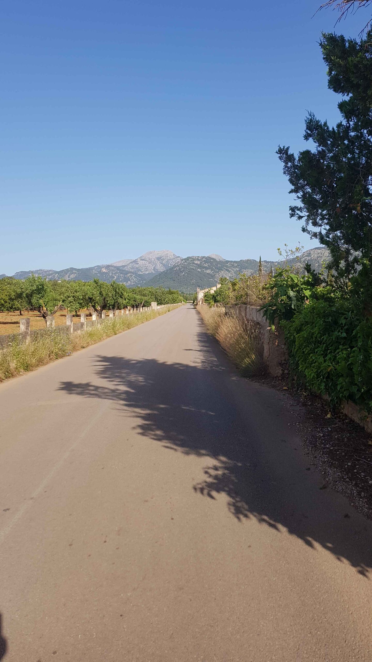 2022-Mallorca-Tag7 (4)