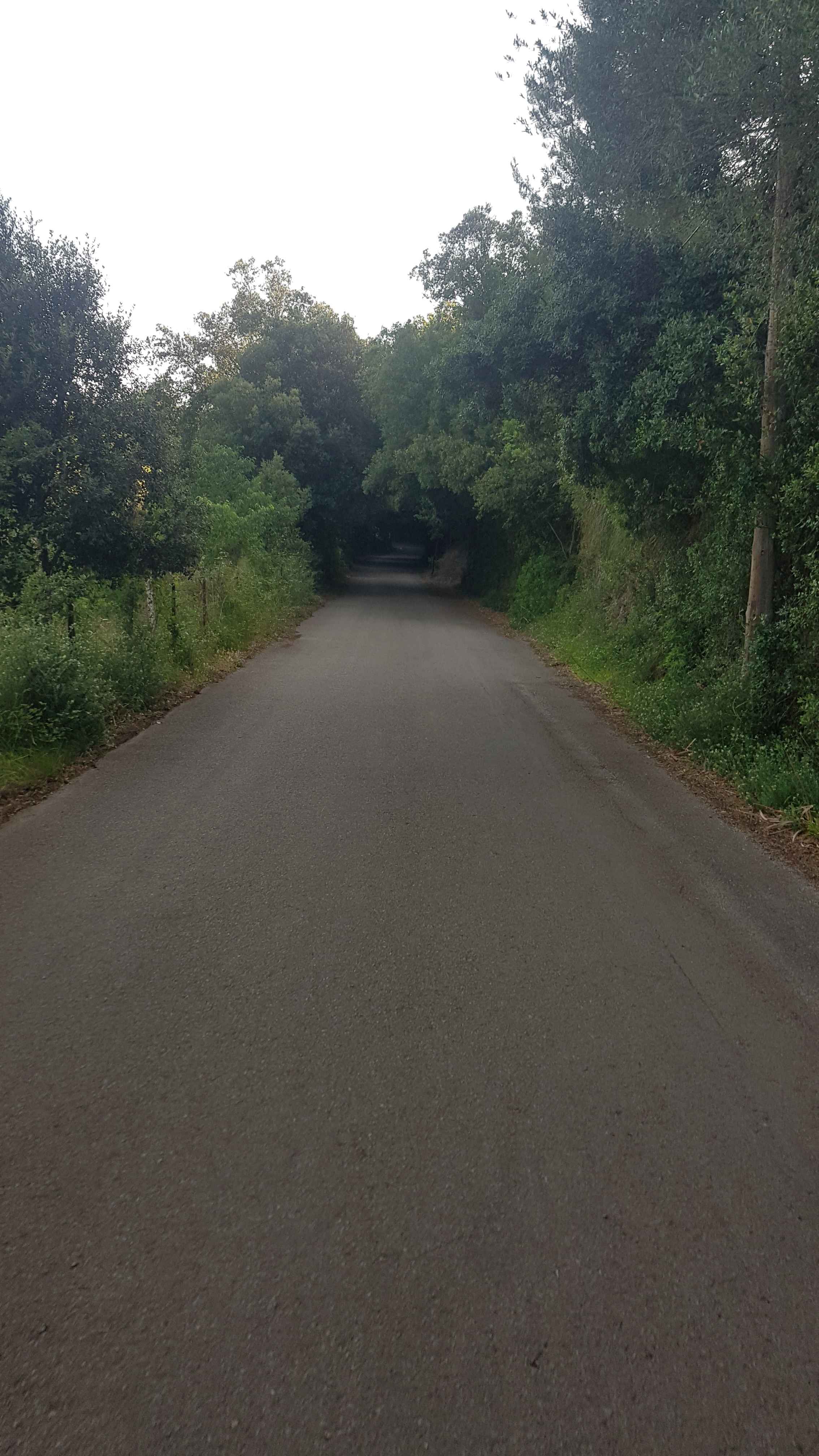 2022-Mallorca-Tag7 (5)