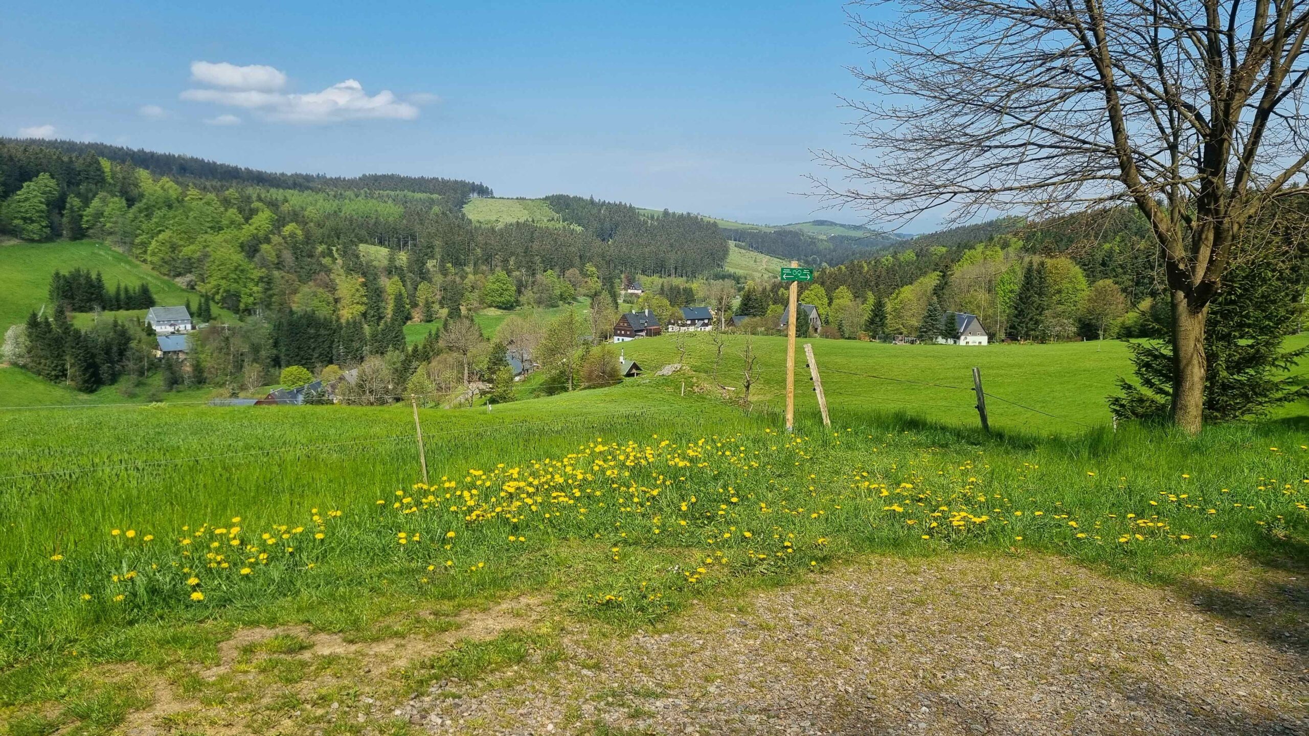 2023-Erzgebirge-Tag3 (2)