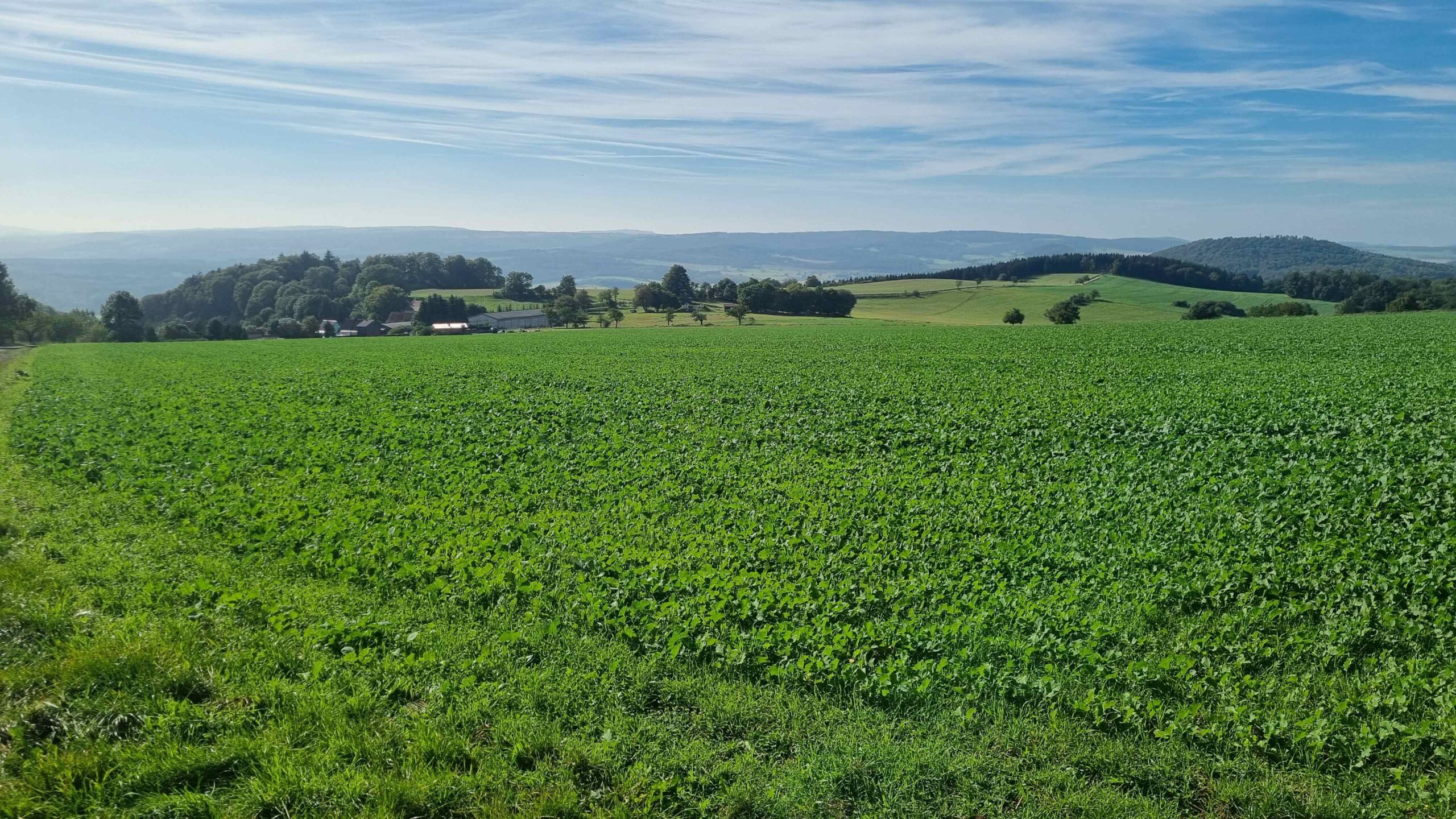 2023-Rhön-Tag2 (12)