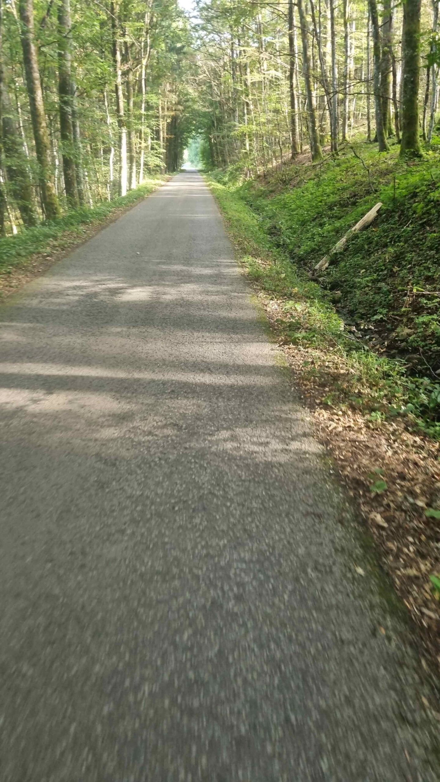 2023-Rhön-Tag3 (17)