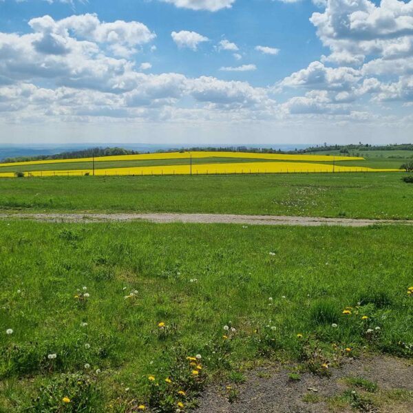 2024-Rhön-Tag2 (11)