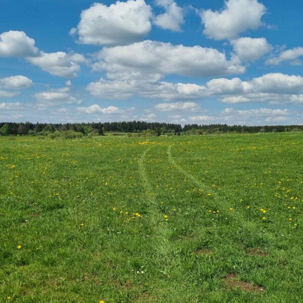 2024-Rhön-Tag2 (13)