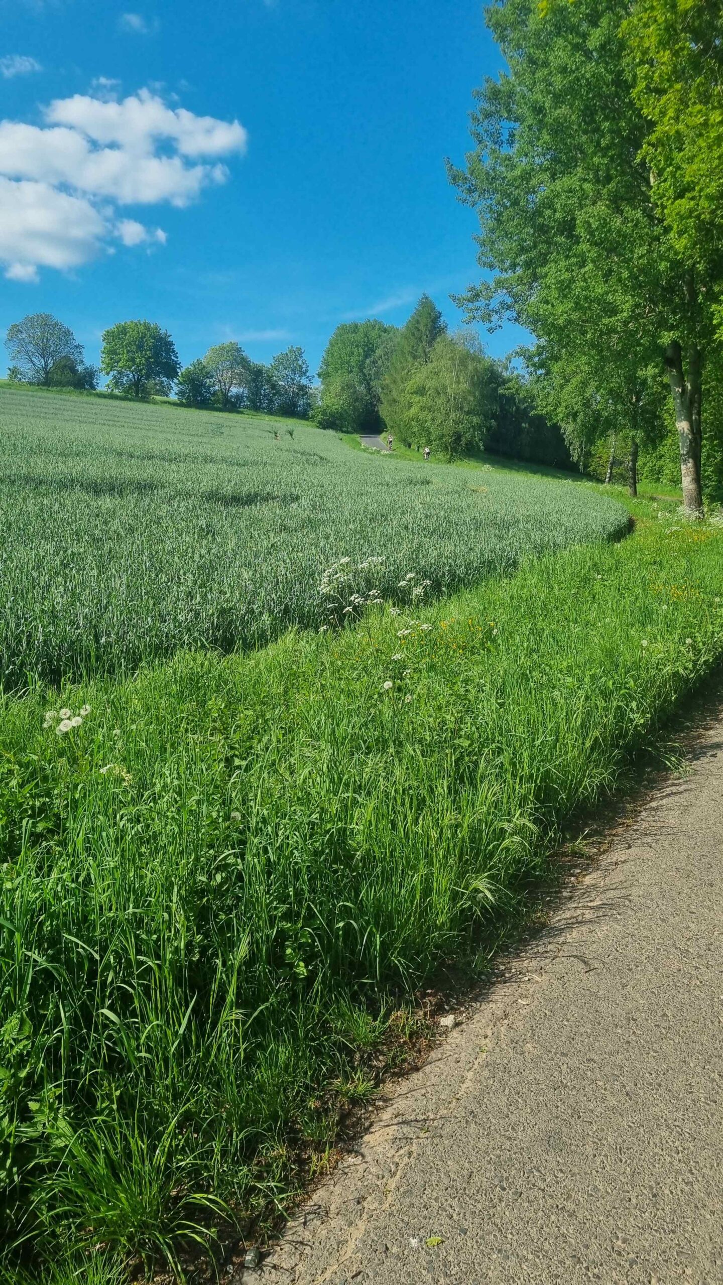 2024-Rhön-Tag3 (17)