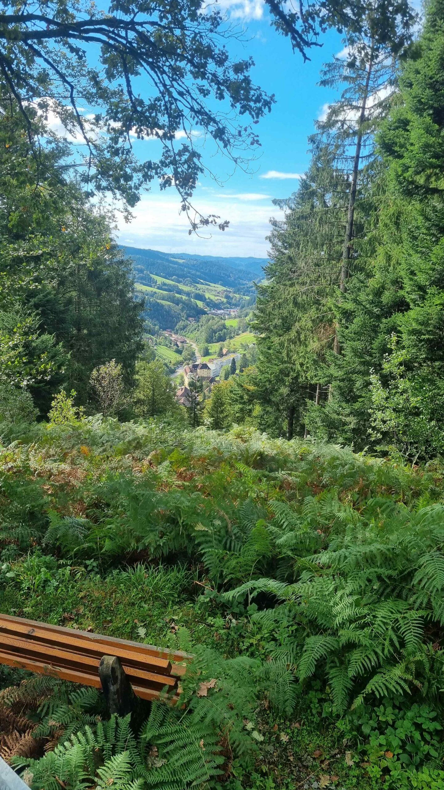 2024 Schwarzwald Tag 1 (10)
