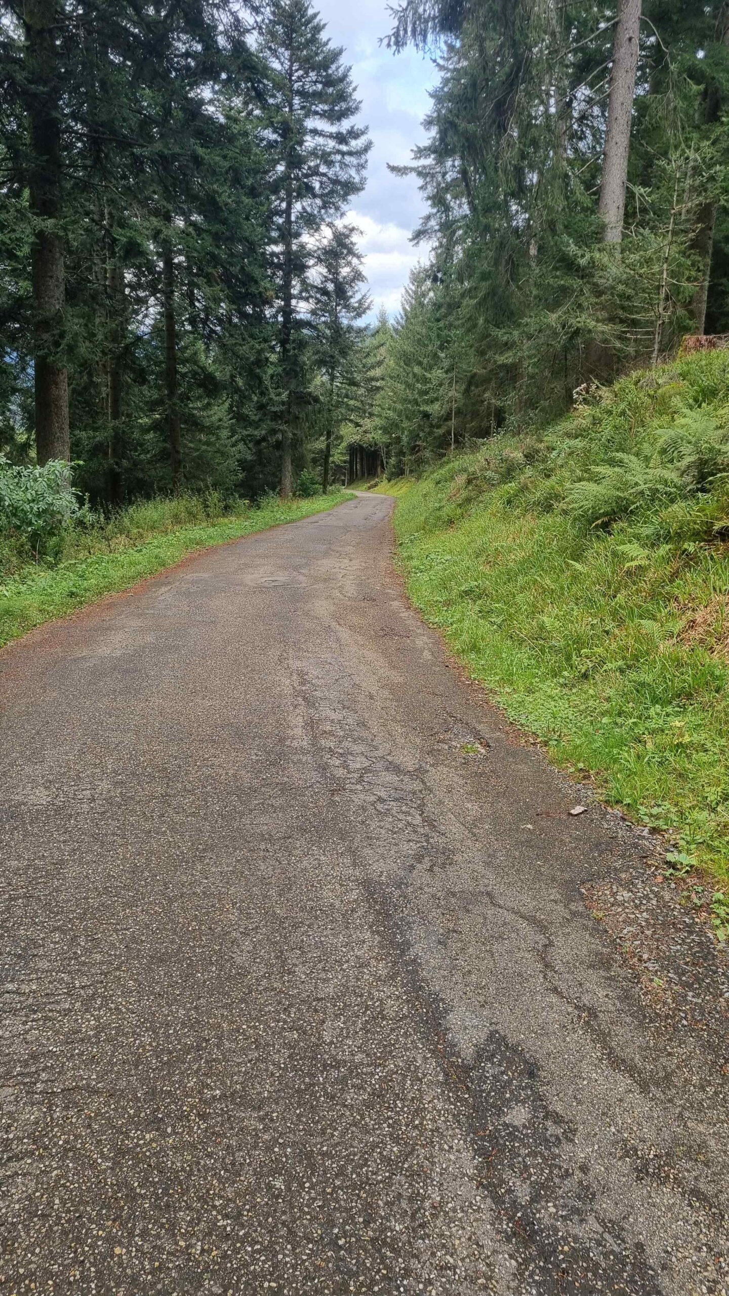 2024 Schwarzwald Tag 1 (17)