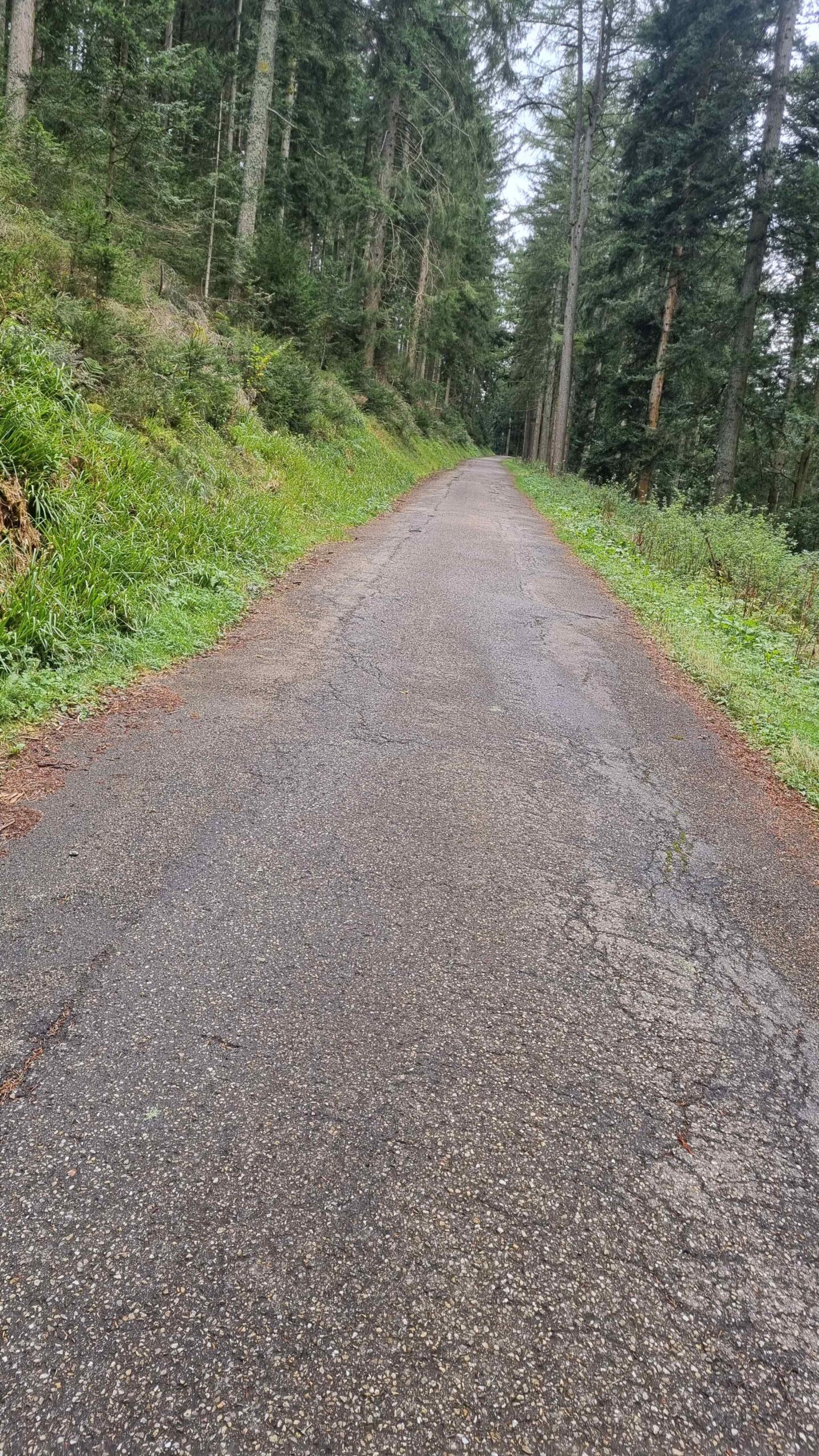 2024 Schwarzwald Tag 1 (18)