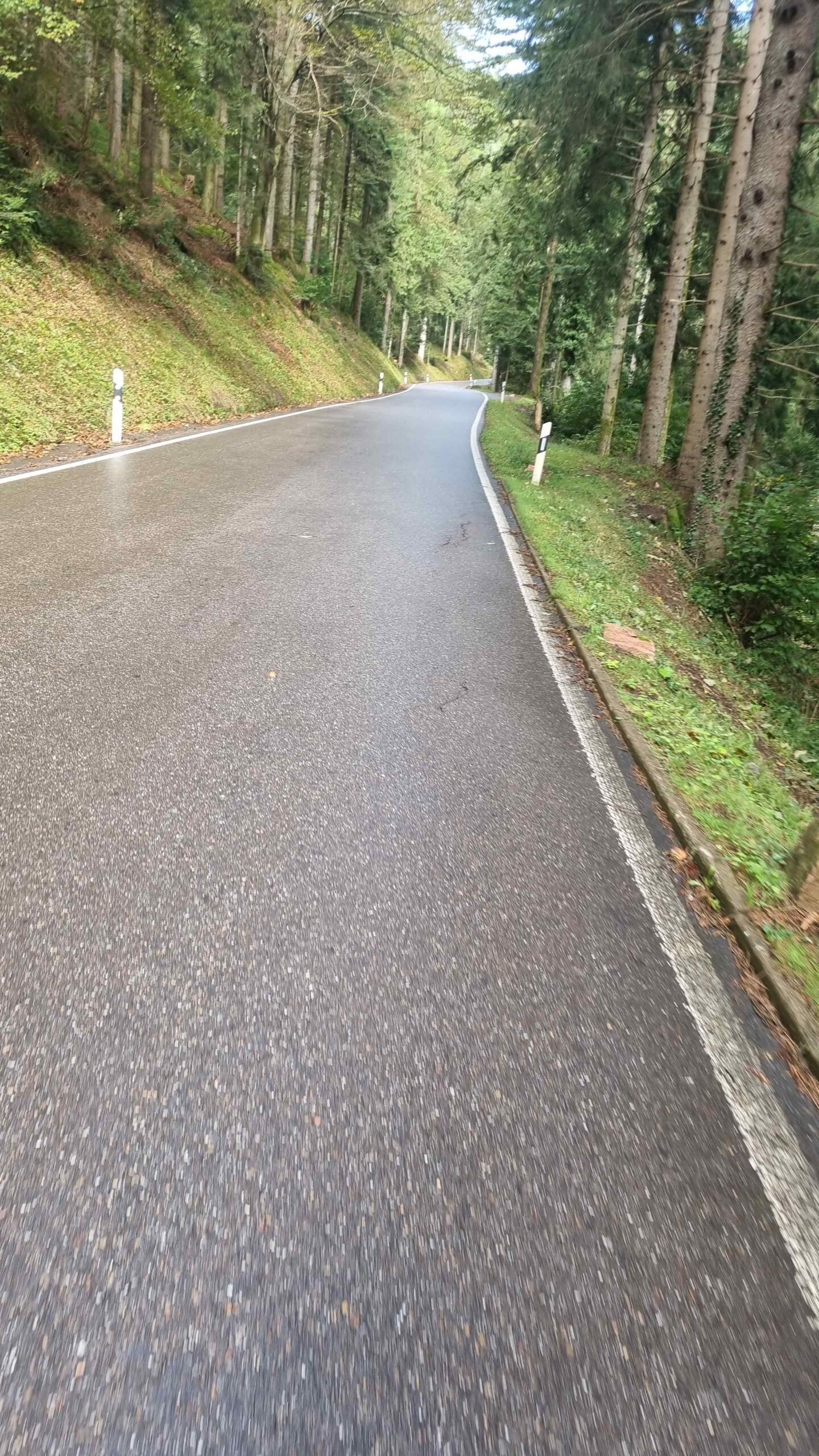 2024 Schwarzwald Tag 1 (9)