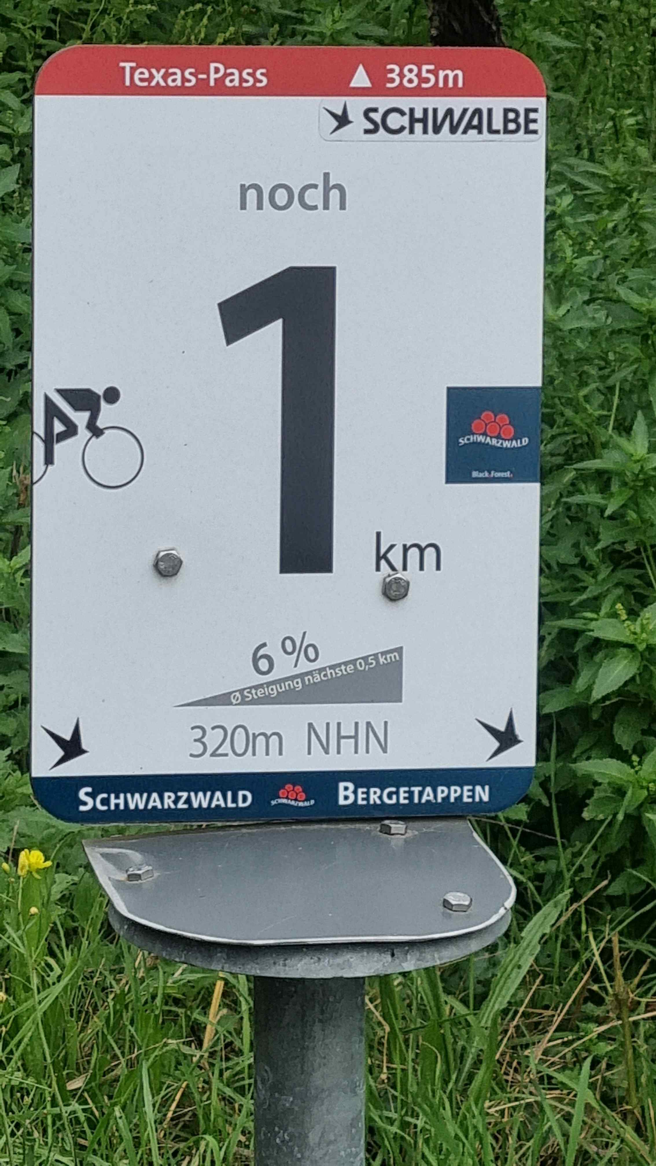 2024 Schwarzwald Tag 2 (16)