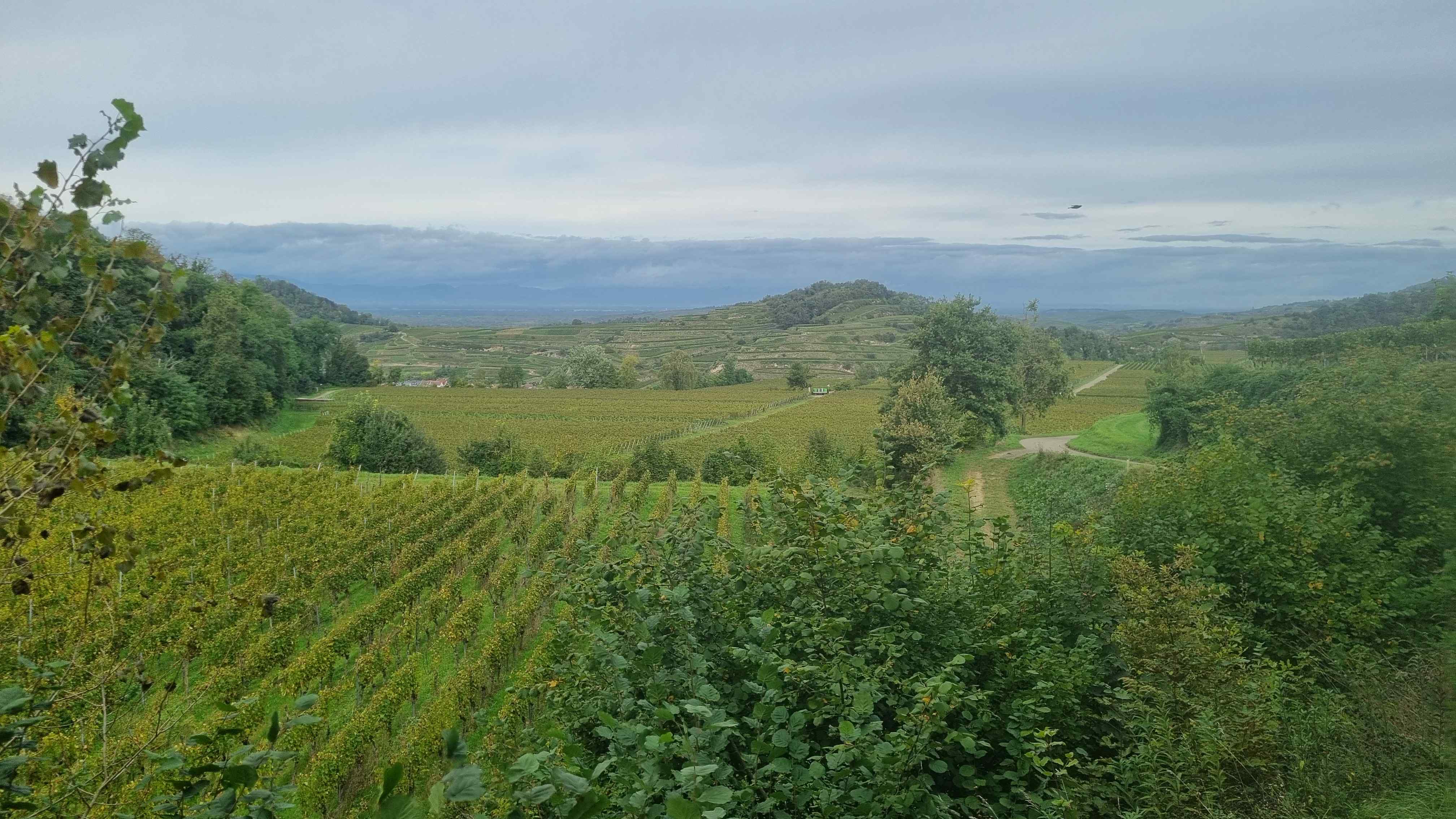 2024 Schwarzwald Tag 2 (23)