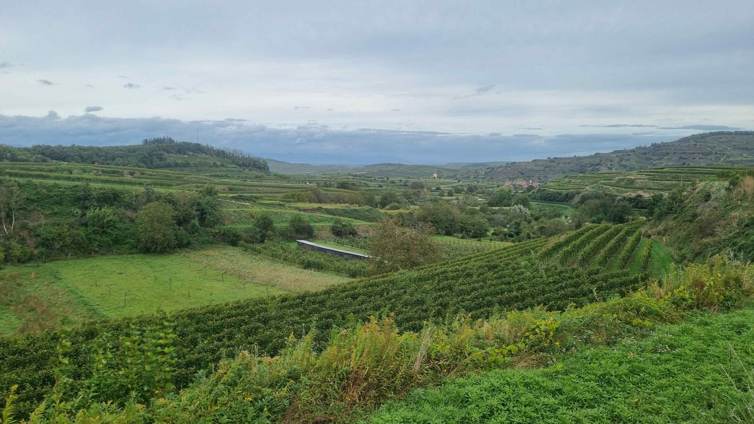 2024 Schwarzwald Tag 2 (26)