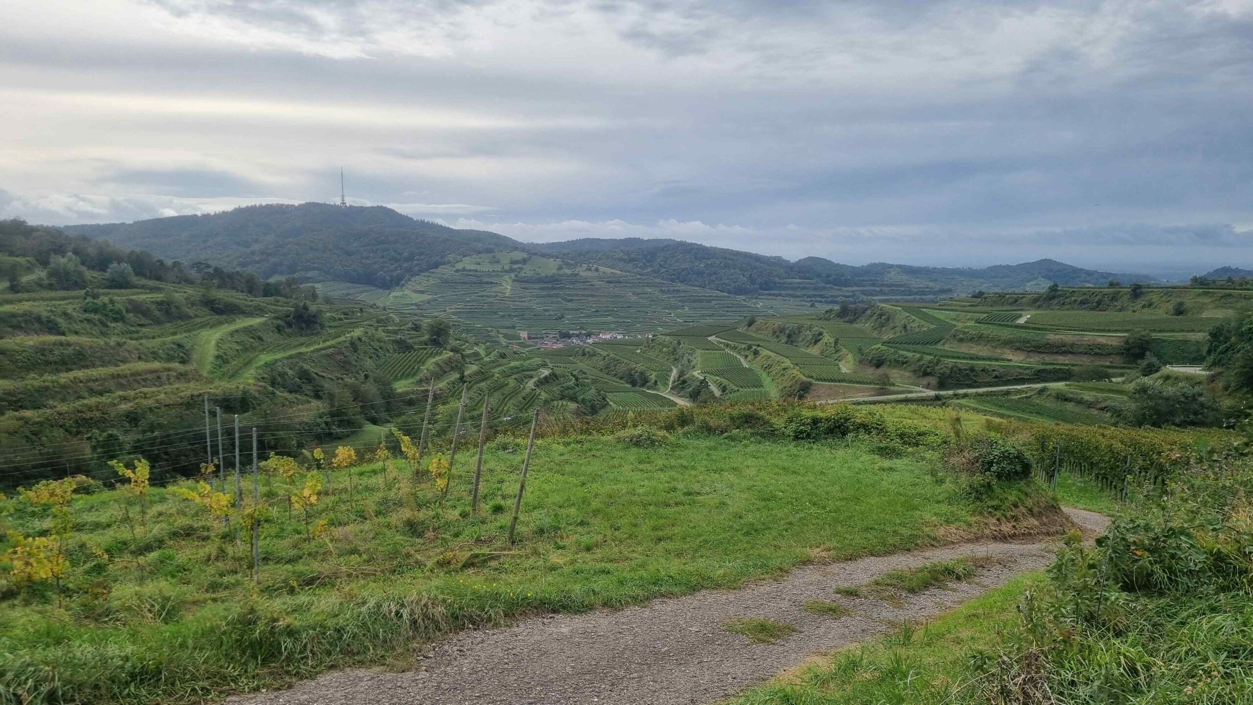 2024 Schwarzwald Tag 2 (28)