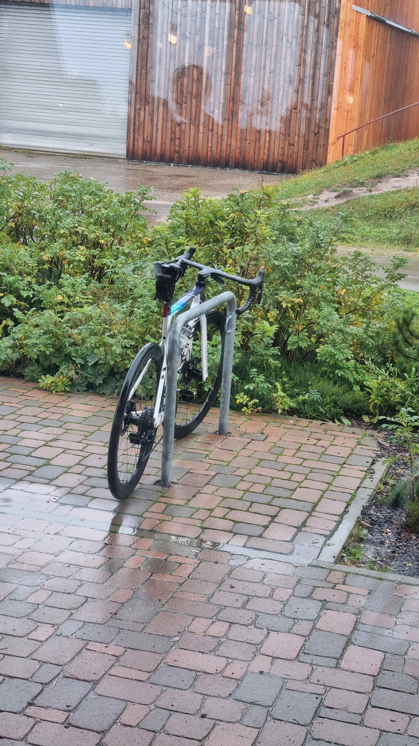 2024 Schwarzwald Tag 3 (12)