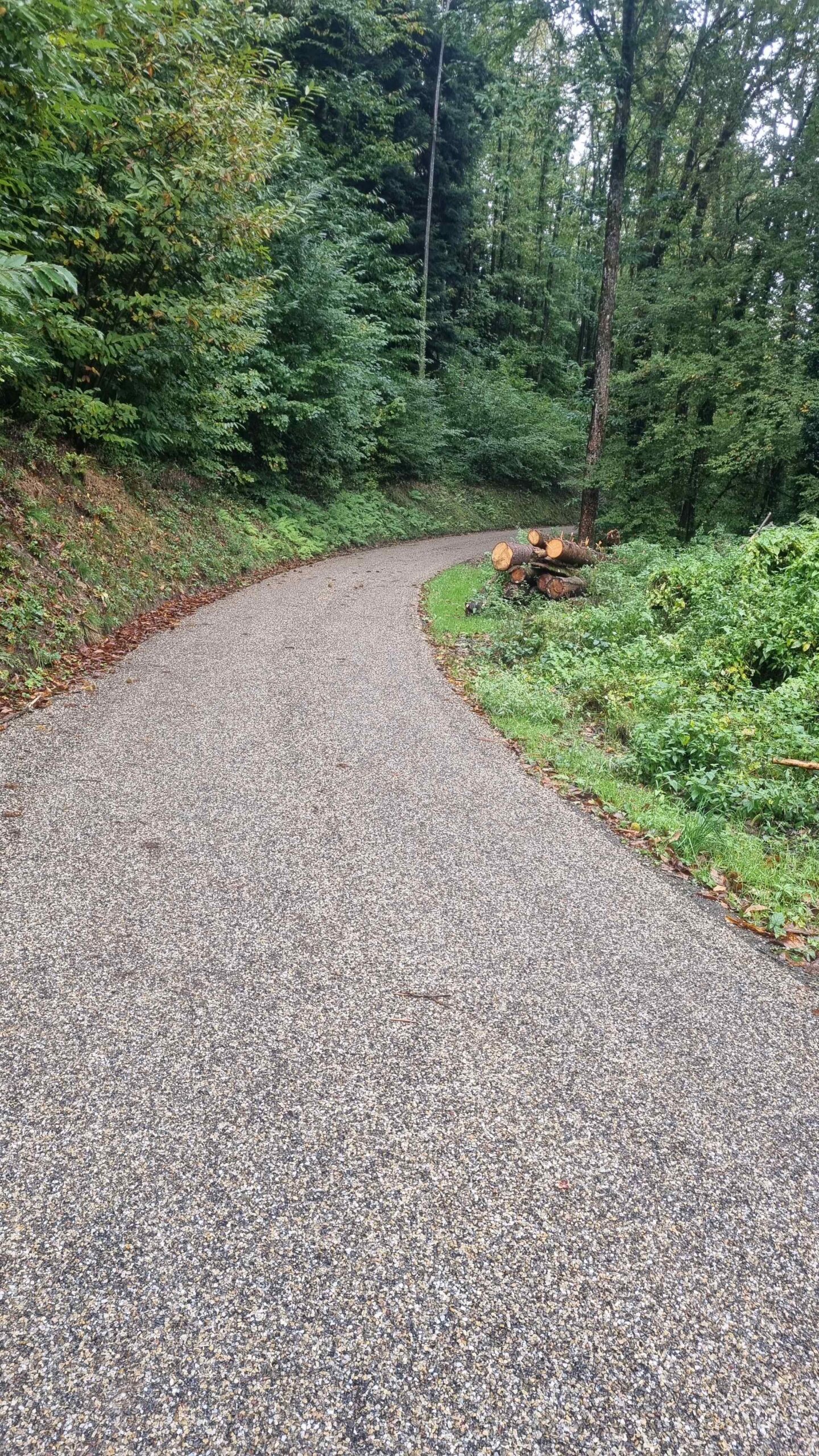 2024 Schwarzwald Tag 3 (14)