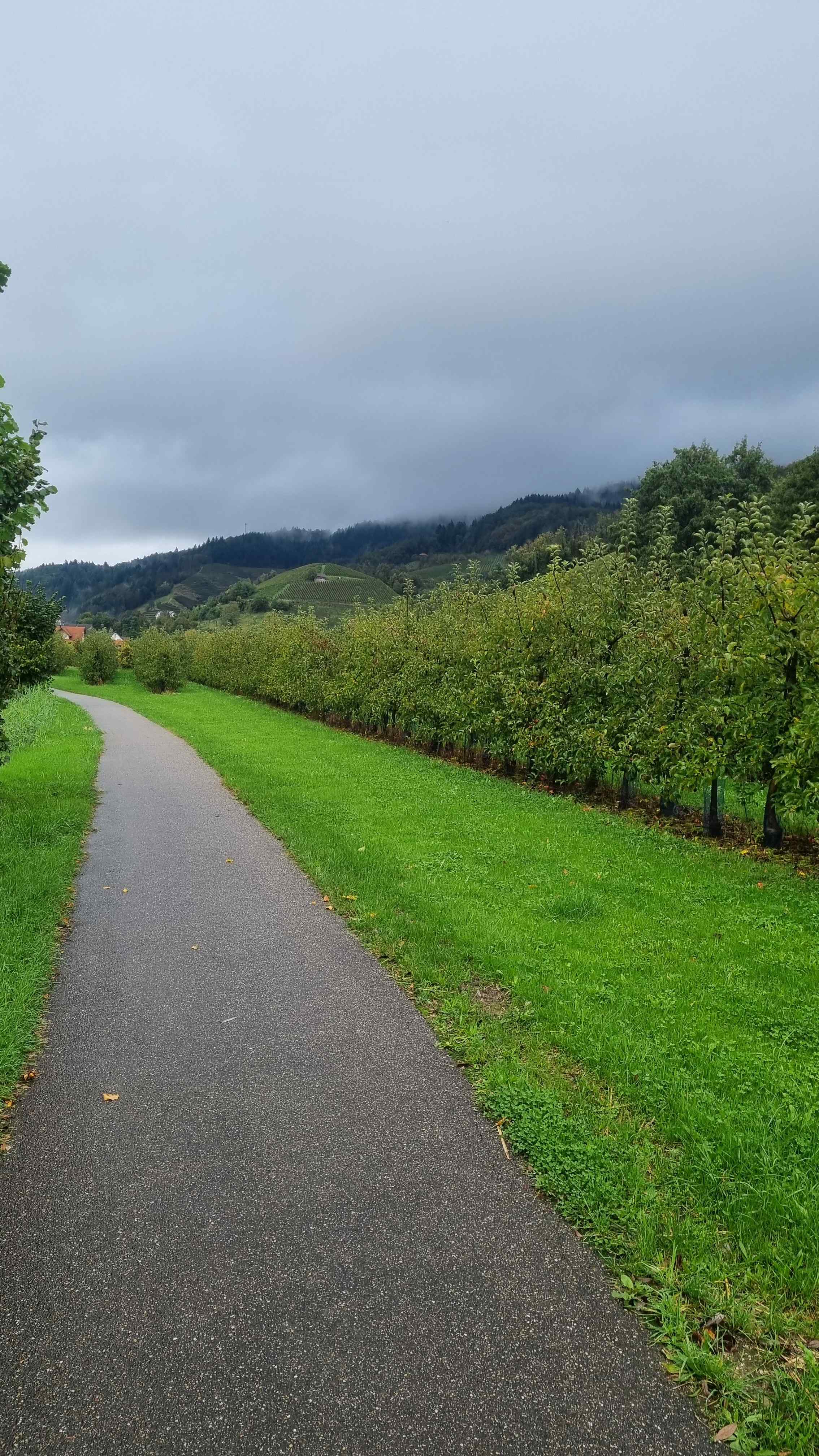 2024 Schwarzwald Tag 3 (4)