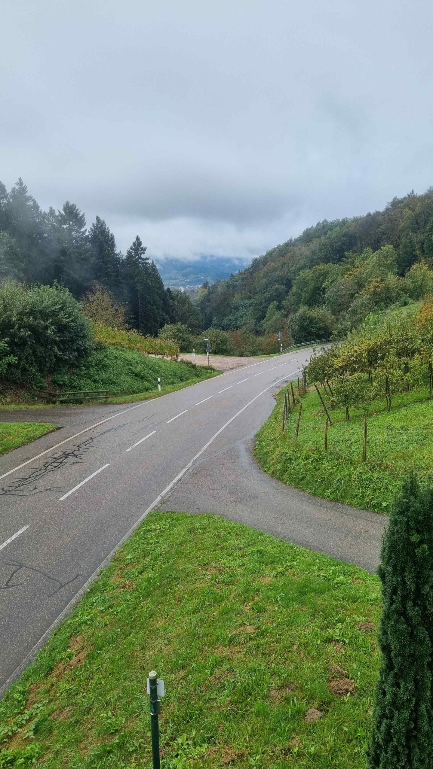 2024 Schwarzwald Tag 3 (5)