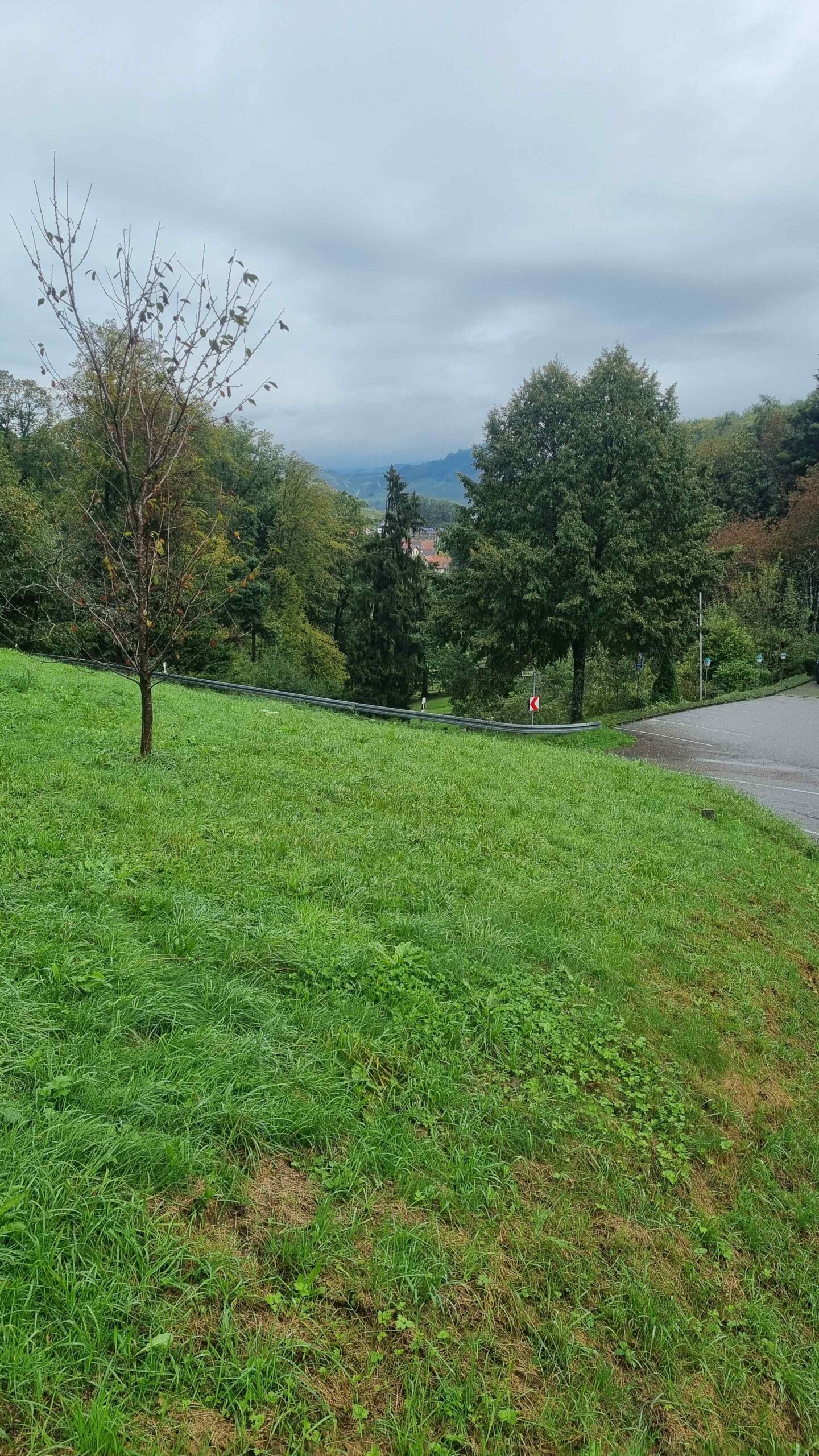 2024 Schwarzwald Tag 3 (6)