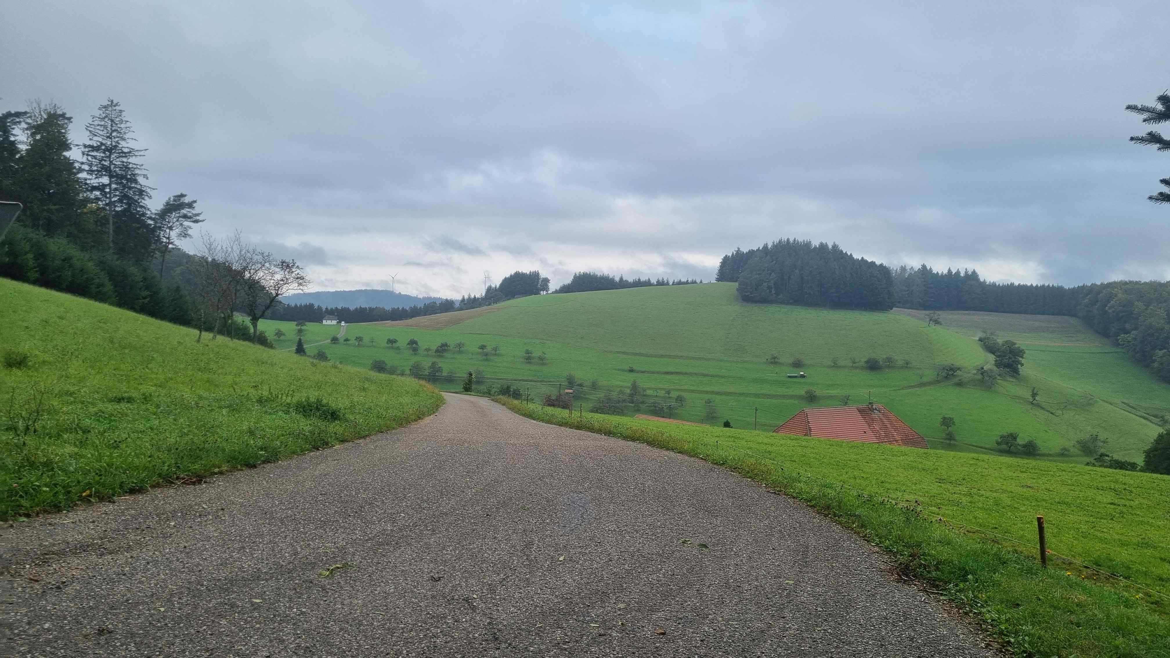 2024 Schwarzwald Tag 4 (3)