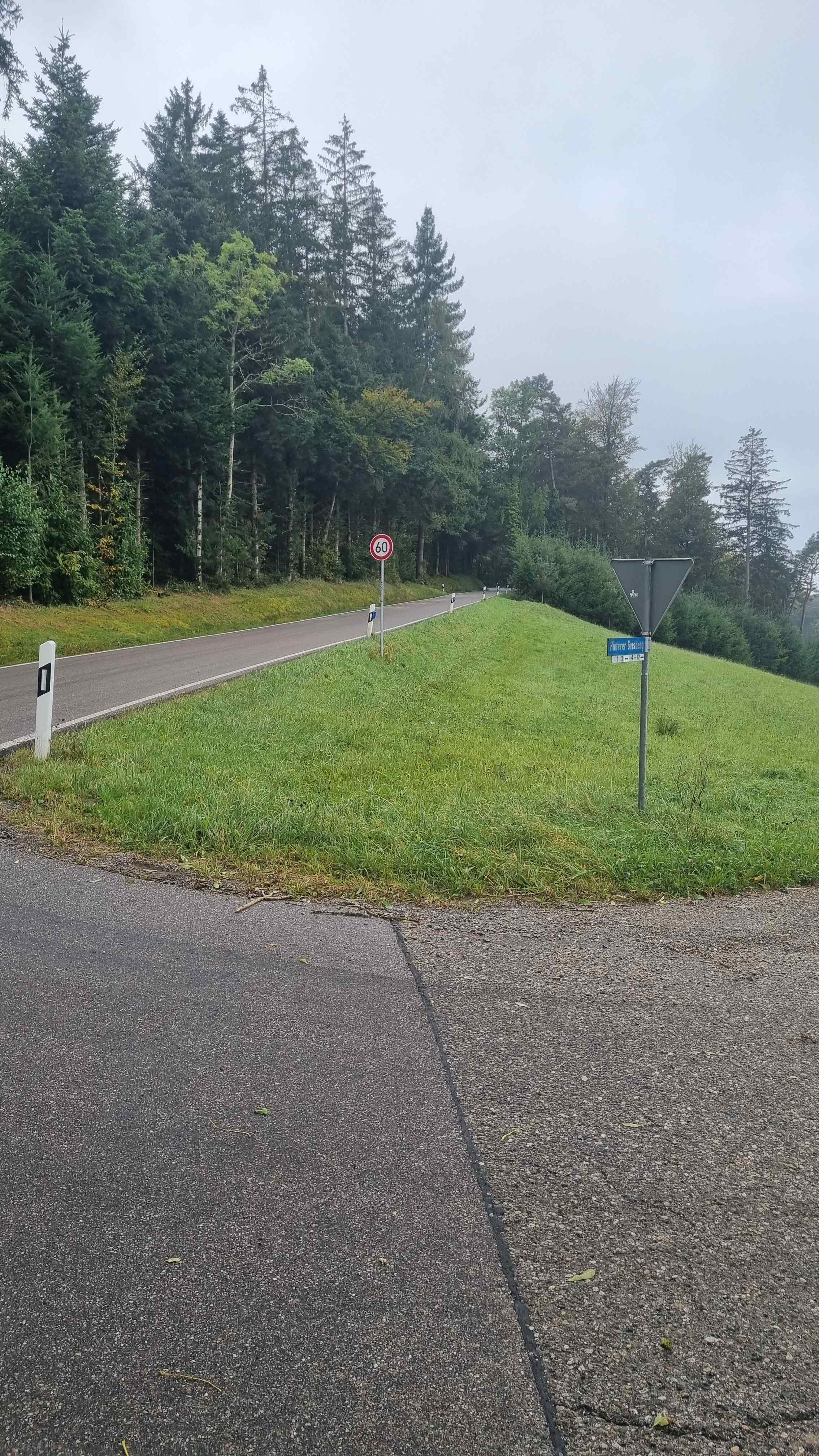 2024 Schwarzwald Tag 4 (4)