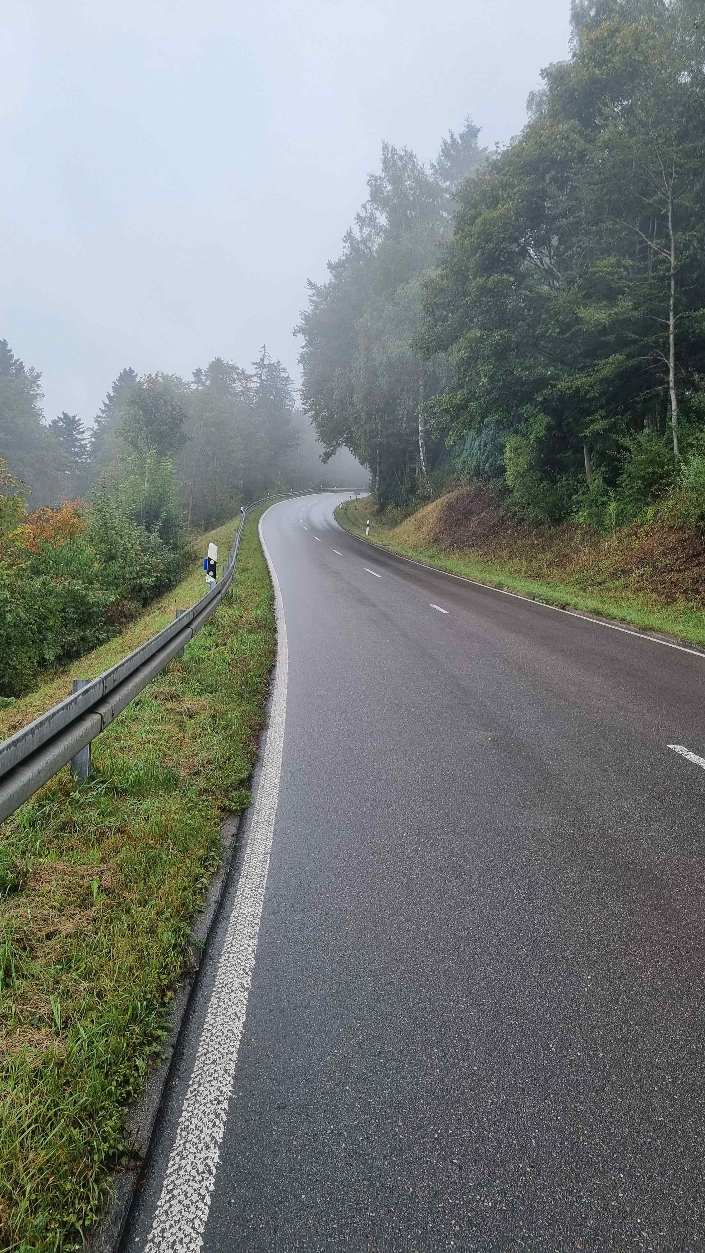 2024 Schwarzwald Tag 4 (5)