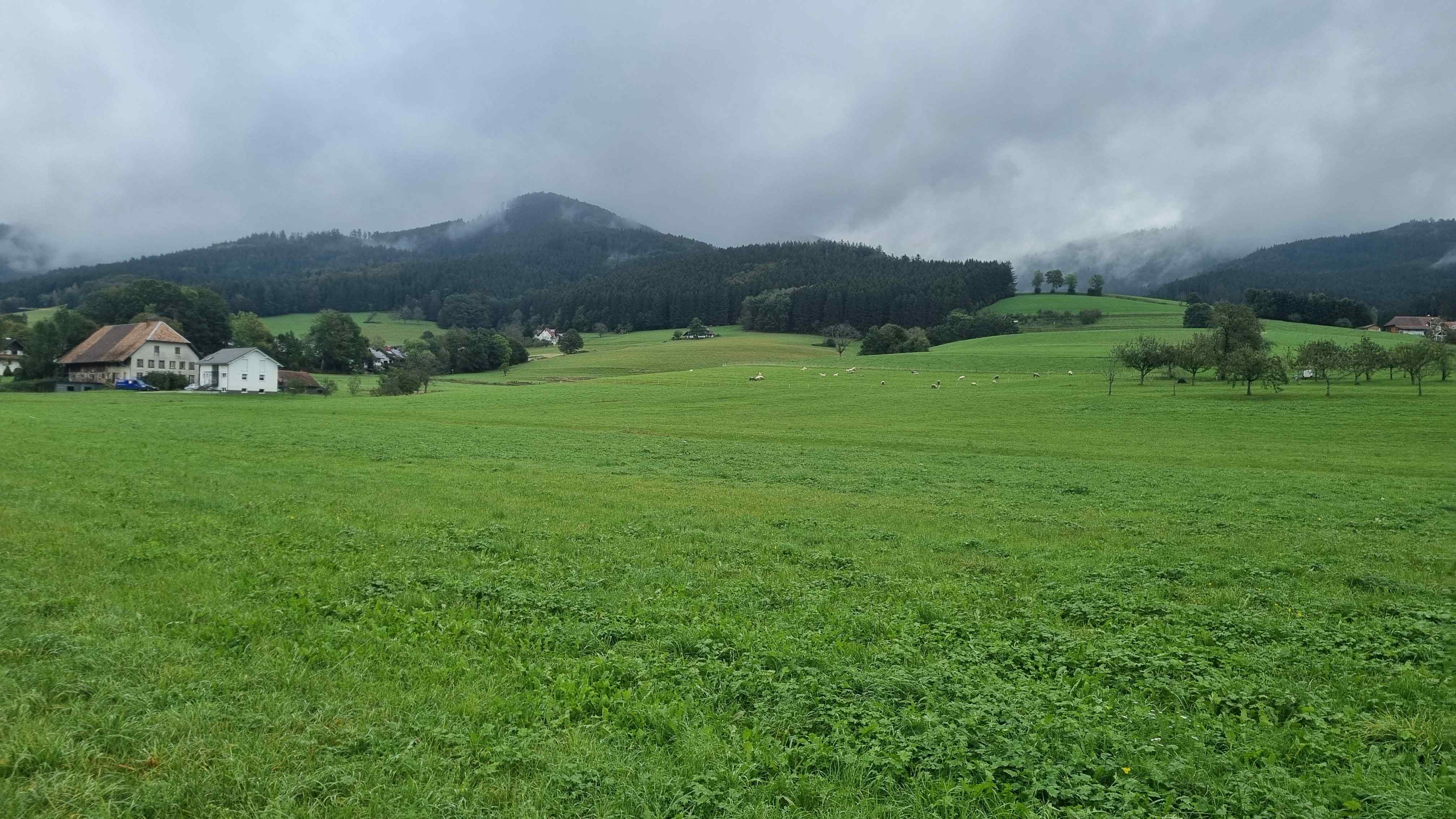 2024 Schwarzwald Tag 4 (6)