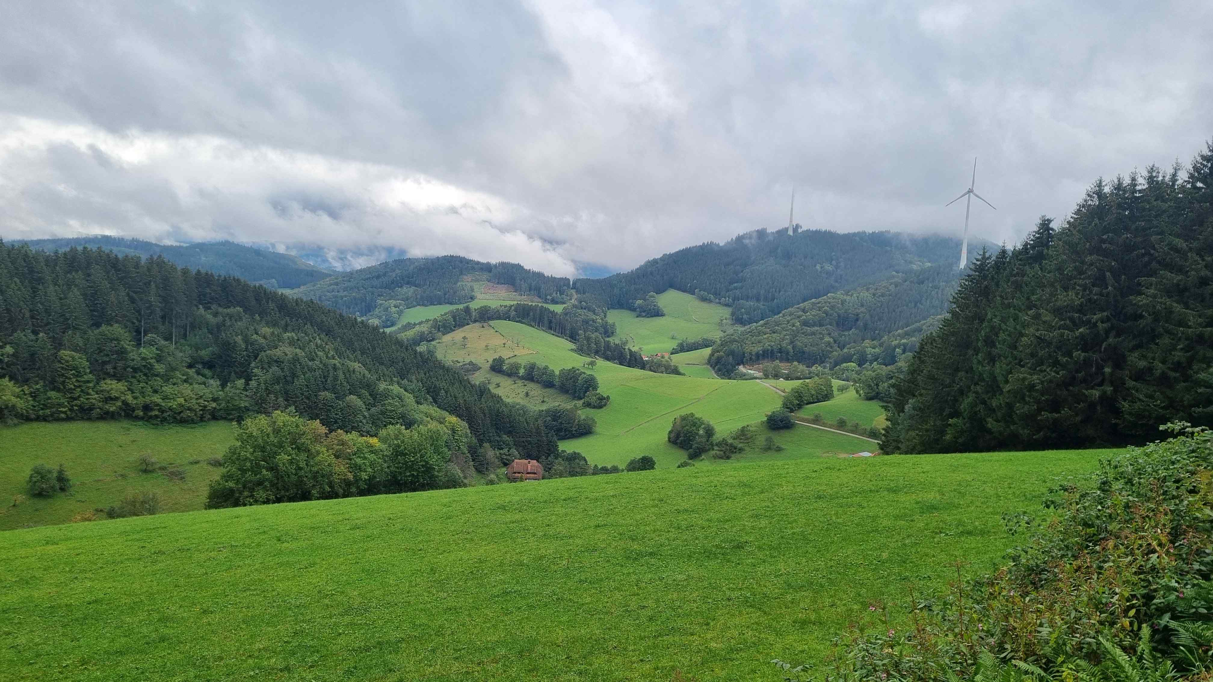 2024 Schwarzwald Tag 4 (7)