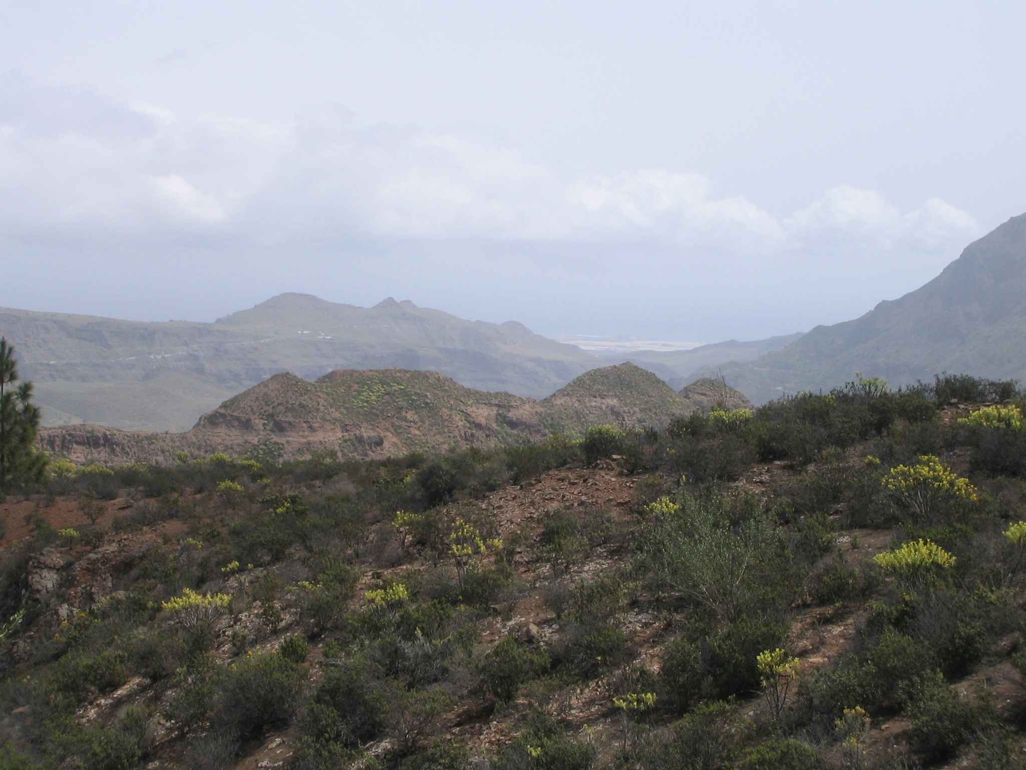 2007-GranCanaria-Tag2 (8)